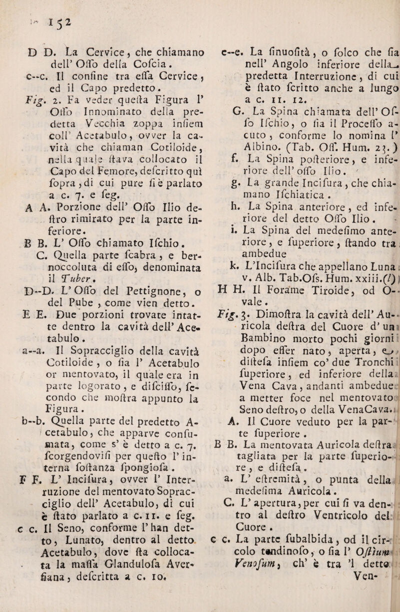 D D. La Cervice, che chiamano dell’ Olio della Cofcia . c~c* Il confine tra ella Cervice, ed il Capo predetto. Fig. 2. Fa veder quella Figura 1’ Olio Innominato della pre¬ detta Vecchia zoppa infierii coir Acetabolo, ovver la ca¬ vità che chiaman Cotiloide, nella quale flava collocato il Capo del Femore, deferìtto qui fopra,di cui pure fi è parlato a c* 7. e feg. A A. Porzione dell’ Ofib Ilio de¬ liro rimirato per la parte in¬ feriore. B B. V Offo chiamato Ifchio. C. Quella parte fcabra , e ber¬ noccoluta di elfo, denominata il Tuber, D--D* L’Offo del Pettignone, o del Pube , come vien detto. E E. Due porzioni trovate intat¬ te dentro la cavità delP Ace* tabulo. a-a. Il Sopracciglio della cavità Cotiloide , o fia P Acetabolo or mentovato, il quale era in parte logorato, e difcilfo, fe¬ condo che inoltra appunto la Figura. b-b. Quella parte del predetto A- /cetabulo, che apparve confu¬ tata, come s’ è detto a c. 7. feorgendovifi per quello P in¬ terna foltanZa fpongiofa . F F. V Incilura, ovver P Inter¬ ruzione del mentovato Soprac¬ ciglio dell’ Acetabulo, di cui è fiato parlato a c. 11. e feg. c c. Il Seno, conforme Phan det¬ to , Lunato, dentro al detto. Acetabulo, dove fia colloca¬ ta la mafia Glandulofa Aver- fiana, deferitta a c. io. c—e. La finuofità, o folco che fia nell’ Angolo inferiore della_, predetta Interruzione, di cui è fiato fcritto anche a lungo a c. 11. 12. G. La Spina chiamata dell’Of¬ fo Ifchio, o fia il Proceffo a- cuto , conforme Io noniina P Albino. (Tab. Off. Hum. 2].) f. La Spina pofieriore, e infe¬ riore dell’offo Ilio. / g. La grande Incifura , che chia¬ mano Ifchiatica . h. La Spina anteriore , ed infe¬ riore del detto Oifo Ilio. i. La Spina del medefimo ante¬ riore , e fuperiore, ftando tra ambedue k. LTncifura che appellano Luna v. Alb. Tab.Ofs. Hum. xxiii.(7) H H. Il Forame Tiroide, od O- vale. Fig. 3. Dimoflra la cavità delP Au¬ ricola deftra del Cuore d* uhi Bambino morto pochi giorni dopo efler nato, aperta, ^ difiefa infierii co’ due Tronchi fuperiore, ed inferiore della Vena Cava, andanti ambedue a metter foce nel mentovato Seno deftro, o della VenaCava.n A. Il Cuore veduto per la par-1 te fuperiore . B B. La mentovata Auricola defira tagliata per la parte fuperio¬ re , e difiefa . a. L’eftremità, o punta della medefima Auricola. C. V apertura,per cui fi va den¬ tro ai deftro Ventricolo del Cuore . c c. La parte fubalbida, od il cir¬ colo tindinofo, o fia P Oftìuw Venofuni) eh’ è tra ’1 detto Yen- -•