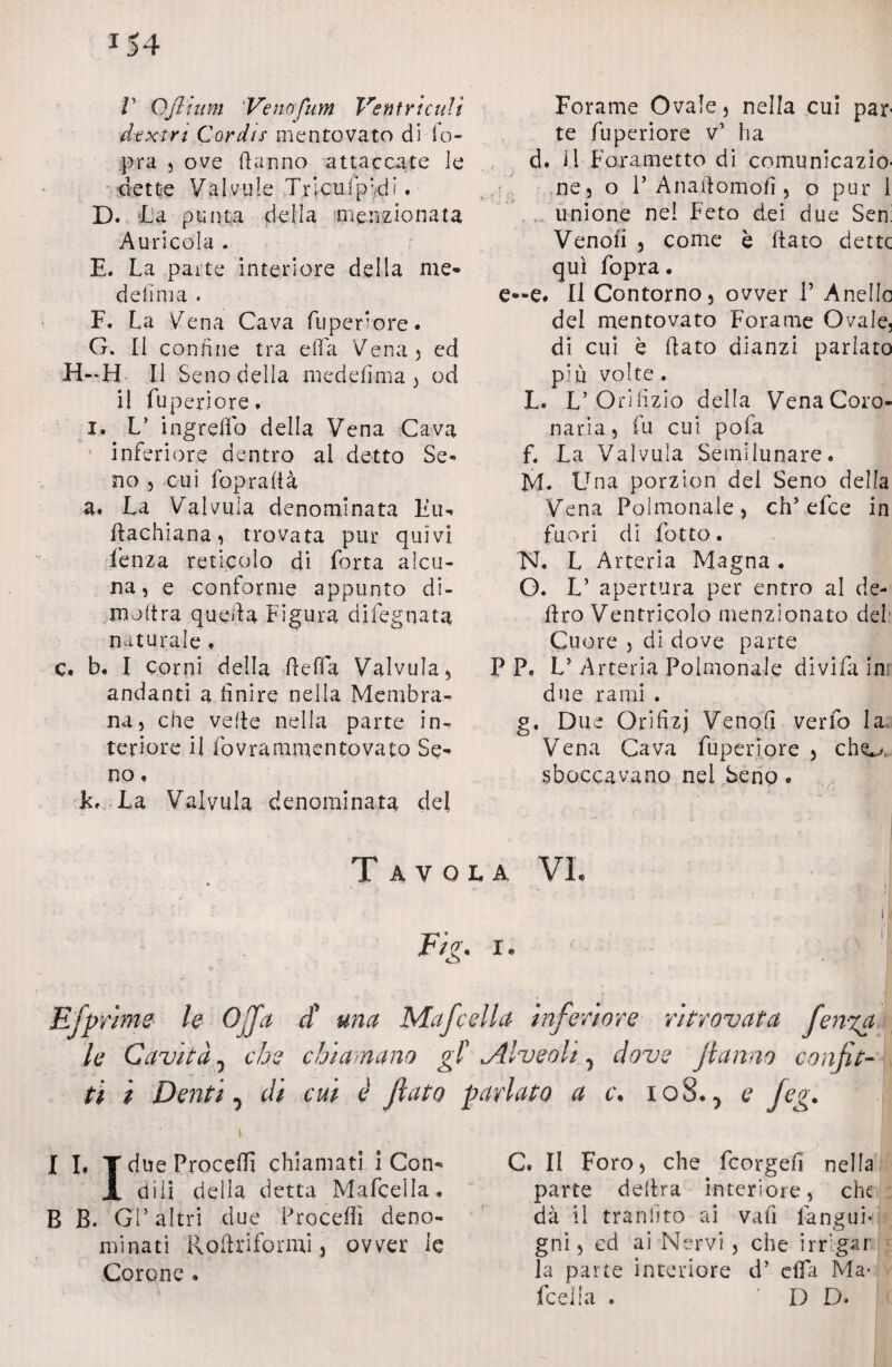 dextri Corda' mentovato di fo- pra , ove danno attaccate le dette Valvule TrlcuipkL. D. La punta della menzionata Auricola . E. La parte interiore della me* delìnia . F. La Vena Cava fuperiore. G. Il confine tra ella Vena) ed H-H II Seno della medefima , od il fuperiore, I. L’ ingredo della Vena Cava inferiore dentro al detto Se¬ no , cui fopradà a* La Valvuia denominata Fin dachiana, trovata pur quivi Lenza reticolo di Lorta alcu¬ na, e conforme appunto di- molirà queda Figura dileguata naturale * C. b. I corni della della Valvuia, andanti a finire nella Membra¬ na, che vede nella parte in¬ teriore il iovrammentovato Se* no, L, La Valvuia denominata del te fuperiore v’ ha d. il Fara metto di comunicaziò' ne, o F Anaftomofi, o pur 1 unione nel Feto dei due Sen Venofi , come b dato dette qui fopra. e—e. Il Contorno, ovver V Anello del mentovato Forame Ovale, di cui è dato dianzi parlato più volte. L. L’Orifizio della Vena Coro¬ naria, fu cui pofa f. La Valvuia Semi lunare. M. Una porzion dei Seno della Vena Poimonale, eh’efee in fuori di Lotto. N. L Arteria Magna. O. L’ apertura per entro al de- dro Ventricolo menzionato del Cuore , di dove parte P P. L’ Arteria Poimonale diviLa in due rami . g. Due Orifizj Venofi verLo la Vena Cava fuperiore , cho> sboccavano nel Seno. Tavola VI Efprime le Offa et una Mafcella inferiore ritrovata fenga le Cavità, che chiamano gi Alveoli y dove fanno confit¬ ti i Denti D di cui è fiato parlato a c\ ioS.^ e Jeg. I I. Y due Procedi chiamati i Con* X etili della detta Mafcella* B B. GL altri due Procedi deno¬ minati Rodriformi, ovver le Corone. C. Il Foro, che Lcorgefi nella parte dedra interiore, che dà il tranfito ai vafi Languì- gni, cd ai Nervi, che irrigar la parte interiore d’ effa Ma¬ fcella . D D.