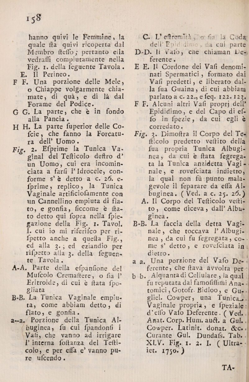 hanno quivi le Femmine» la quale da quivi ricoperta dal Membro dello ; pertanto ella vedrà Ili compiutamente nella Fig. i. della Tegnente Tavola . E. 11 Perineo. F F. Una porzione delle Mele, o Chiappe volgarmente chia¬ mate) di qua 3 e di là dal Forame del Podice. G G. La parte) che è in fondo alla Pancia. FI H. La parte fuperior delle Co- fcie 5 che fanno la Forcatu- ra deli* Uomo. Fig. 2. Efprime la Tunica Va- ginal del Tedicelo dedro d* un Uomo, cui era incomin¬ ciata a fard P Idrocele) con¬ forme s’ è detto a c. 26. e- fprime , replico 5 la Tunica Vaginale artificiofarnente con un Cannellino empiuta di fla¬ to, e gonfia, ficcarne è da¬ to detto qui fopra nella fple¬ gazione della Fig. i. Tavol. I. cui io mi riferifco per ri- fpetto anche a queda Fig,, ed alla 3, ; ed eziandio per rifletto alla 3. delia feguen- te Tavola . A-A. Parte della efpanfione del Mulcolo Cremadere, o fi a V Eritroide, di cui è data ipo- gliata B-B. La Tunica Vaginale empiu¬ ta, come abbiam detto, di flato, e gonfia. a—a. Porzione della Tunica AI- huginea, fu cui fpandonfi i Vali, che vanno ad irrigare T interna fodanza del Tedi- colo, e per elfa e’ vanno pu¬ re ufeendo . C. L* effrenntà ... o fi a la Coda deli' E po’ o. d cui parte D-D. li Vaio, ciie chiaman De¬ ferente . E E. Il Cordone dei Vafi denomi¬ nati Spermatici , formato dai Vafi predetti, e liberato dal¬ la fua Guaina, di cui abbiam parlato a c. 22., e feq. 122.123. F F. Alcuni altri Vafi proprj dell* Epididimo, e del Capo di ef- fo in fpezie, da cui egli è corredato. Fig. 3. Dimodra il Corpo del Te¬ dicelo predetto vedito della X fua propria Tunica Albugi- nea , da cui è data legrega- ta la Tunica anzidetta Vagi¬ nale, e rovefeiata indietro, la qual non fù punto mala¬ gevole il feparare da elfa AL buginea. ( Ved. a c. 25. 26. ) A. Il Corpo del Tedicolo vedi¬ to , come diceva , dall’ Alba¬ giosa . B-B. La faccia della detta Vagi¬ nale , che toccava T Albugi- nea , da cui fu fegregata, co¬ me s’ detto , e rovefeiata in 1. dietro. a a. Una porzione del Vafo De- (i ferente, che dava avvolta per b b. Alquanta di Cellulare , la qual fu reputata dai famofifiìmi Ana¬ tomici , Gotofr. Bidloo , e Gu- ■ glieL Cowper, una Tunica-., Vaginale propria, e fpeziale * d’efib Vafo Deferente. ( Ved. Anat. Corp. Hum. auft. a Gul. Cowper. Latinit. donat. &c. , Curante Gul. Dundafs. Tab. ,( XLV. Fig. 1. 2. I. ( Ultra- • iet. 1750. ) TA-