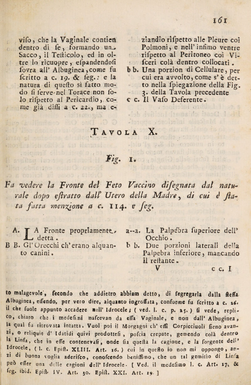 yifo, che la Vaginale conticn dentro di fe, formando un_* Sacco, il Tellicolo, ed in ol¬ tre lo ricuopre , spandendoli fovra all* Albugine*, come fu fcritto a c. 19. & feg. .8 e la natura di quello sì fatto mo¬ do fi ferve nel Torace non fo- lo rifpetto al Pericardio, co¬ me già di/lì a c. 22., ma e- ziandio rifpetto alle Pleure coi Polmoni, e nelP infimo ventre rifpetto al Peritoneo coi Vi« fceri colà dentro collocati. b b. Una porzion di Cellulare, per cui era avvolto, come s* è det¬ to nella fpiegazione della Fig. 3. della Tavola precedente c c. Il Vafo Deferente « Tavola X. Wìg. i Fa vedere la Fronte del Feto rale dopo eflratto dall* Utero ta fatta menzione a c« 114, A. T A Fronte propriamente JL* detta . B B. Gl’Orecchi eh*erano alquan¬ to canini* Vaccino dlfeguata dal natu- della Madre 5 di cui è Jìa >e H' , \ a—a. La Palpebra fuperiore dell3 Occhio • b b. Due porzioni laterali della Palpebra inferiore, mancando Il rellante * V c c* I to malagevole, fecondo thè addietro abbiati) detto, di Segregarla dalla fldfa, Albuginea, elfendo, per vero dire, alquanto iogroffata, conforme fu fcritto a c. té» il che fuole appunto accadere «di’ Idrocele! ( ved. I. c. p. 15.) fi vede, repli® co, chiaro che i medefi.ni nafeevan da efìa Vaginale, e non dall* Albuginea, U qual fu ritrovata intatta. Vuol poi il Morgagni ch’etti Corpicciuoli fieno avan- 2,j o reliquie d’ Idatidi quivi prodotteli, pofeia crepate, gemendo colà dentro la Linfa, che in effe conteneva!», onde (ìa quella la cagione, e la forgente dell * Idrocele, ( l. c. Epift. XLIII. Art. 16. ) cui in quello io non mi oppongo, an- 11 di buona voglia aderifeo, conoscendo bcni£fimo, che un tal gemitìo di Linfa può effer una ddle cagioni dell’Idrocele- [ Ved. il medefimo 1. C. Art» 17$, & feg. ibid, Epift» IV. Art. 30. Epifl. XXI. Art. 19 ]
