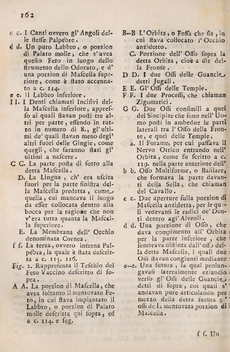 i6i c q. I Canti ovvero gl’Angoli del¬ le ftelfe. Palpebre * é d. Un puro Labbro, o porzion di Palato molle , che s’avea quello Feto in luogo dello frumento dello Odorato, e d’ una porzion di Mafcella lupe- riore , come è flato accenna¬ to a c. 114, e e. il Labbro inferiore. 11. 1 Denti chiamati Incifivi del¬ la Mafcella inferiore, appref- fo ai quali ftavan polli tre al¬ tri per parte , elTendo in tut¬ to in numero di 8., gl’ulti¬ mi de1 quali ftavan meno degl’ altri fuori delle Gingie, come quegli , che faranno Itati gP ultimi a nafcere . C C* La parte porta di fotte alla detta Mafcella. D. La Lingua , eh5 era ulcita fuori per la parte rtniftra del¬ la Mafcella predetta , corno quella, cui mancava il luogo da effer collocata dentro alla bocca per la ragione che non v* era tutta quanta la MafccR la fuperiore. E. La Membrana dell* Occhio denominata Cornea, f f. La terza, ovvero interna Pal¬ pebra, la quale è (tata delcrit- ta a c. 115. 116. F/g* 2. Rapprefenta il Tefehio del Feto Vaccino deferitto di lo»- pra. A A, La porzion di Mafcella, che avea lòltanto il mentovato Fe¬ to, in cui flava impiantato il Labbro, o porzion di Palato molle deferìtta qui fopta, ed a c, 114. e feg* B—B L* Orbita y o Folla che fia , in cui Itava collocato P Occhio anzidetto. C. Porzione dell’ OlTo fopra la detta Orbita , cioè a dir del¬ la Fronte . D D. I due Ofli delle Guancia detti Jugali. E E. GPOffi delle Tempie. F F. I due Procedi, che chiaman Zigomatici. G G. Due Odi confinili a quei del Sincipite che fono nell5 Uo¬ mo podi in ambedue le parti laterali tra P Odo della Fron¬ te, e quei delle Tempie, a. Il Forame, per cui palfava il Nervo Ottico entrando nell* Orbita , come fu fcritto a c. 1x9. nella parte anteriore delP b b. Odo Multiforme, o Balìlare, che formava la parte davan¬ ti della Sella, che chiaman del Cavallo. c c. Due aperture filila porzion di Macella anzidetta, per le qu - li vedevanfì le radici deJ Den¬ ti dentro agi1 Alveoli, d d. Una porzione di Odo , che dava compimento all5 Orbita .1 per la parte inferiore , che fembrava difiinta dalPoffj del¬ la detta Mafcella, i quali due Odi rtavan congiunti mediante e—e. Una futura , ìa qual prolun- gavart lateralmente eziandio vedo gP Olii delle Guancio detti di fopra , coi quali s* andavan pure articolando per mezzo della detta futura gl*1’ orti de h mentovata porzion di Marcella • f f. Un