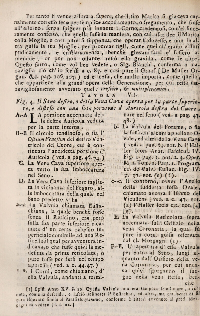 nalmente con elfo fec® per fé ai plica accoramento, o frcgamento, che foife allettano* fenza fpigner più innante il Cornojcrcdcndofi, com’ei fince* ramente confefsò, che quella fuife la maniera, con cui ufiir dee il Marito colla Moglie, e così pure fi fupponea, che operar fi dovette, e non in al¬ tra guila la fua Moglie, per procrear figli, come quei eh* erano vilfuti pudicamente , e criftianametìte , benché giovani fatti e’ fiotterò a- mendue ; or pur non ottante retto ella gravida, come le altre. Quefto fatto, come voi ben vedete, o Sig. Bianchi, conferma a ma¬ raviglia ciò ch’io fcriffi a c. 87. e così pure il Graaf [ De Mulier Or« gan. &c. pag. 106. 107.) ed è cofa, che molto importa, come quella, che appartiene alla grand’opera della Generazione, per cui retta mt- ravigliofamcnte avverato quel: ere fette , & multipli carni ni. Tavola VI. Fig* 4. Il Seno deflro*, 0 della Vena Cava aderta per la parte (aperto* re> e difte fo con una fola porzione d Auricola deflra del Cuore . A A • % 4 y fc A*-A T A porzione accennata JL la deftra Auricola veduta per la parte interna . B--B II circolo tendinofo, o fia V OfltumVenofum del dettro Ven¬ tricolo del Cuore, cui è con¬ tinuata l’anzidetta porzione d* Auricola ( ved. a pag. 46. 74. ) C. La Vena Cava fupcriore aper¬ ta verfo Ja iua imboccatura nel Seno. D. La VenaCava inferiore taglia¬ ta in vicinanza del Fegato , al¬ la imboccatura della quale nel Seno predetto v’ha a La Valvula chiamata Eutta- chiana , la quale benché foffe lenza il Reticino , era però fulla fua parte inferiore rica¬ mata d’ un certo rabefeo lu¬ pe rfìcia le con limi le ad una Re¬ ticella,!] qual per avventura in¬ dicava, o che futte quivi lame* defima da prima reticolata, o pure fotte per farfi nel tempo appretto ( vcd. a c. 44.47.) * #. I Corni, come chiamano, d* ella Valvula, andanti a termi¬ nare nel feno ( ved. a pag. 47, 48. ) b. La Valvula del Forame, o fia la fotta,eh’ alcun' appellano O- vale, ed altri della Vena Cava ( ved. a pag. 6g. not. b. 1 • Hal- kr ìcon. Anat. Fafcicul. IV* Fig. 1. pag. 3. not. 2. 3. Open Min. Tom, 1. Part. 1. Program. 11. de Valv. Euttac. Fig. IV« \ P- 37* not. (e) (f). c—c. Il contorno, ovver 1’ Anello della fuddetta fotta Ovale, chiamato ancora T Itthmo del Yieulfens [ ved. a c. 47. not. (a) T Mailer locis cit. not. [4] lSb , ‘ r E. La Valvula Reticolata f©pra accennata full’ Orifizio della vena Coronaria, la qual fù pure in coiai guifa oifervata dal cl. Morgagni (1) » F--F. L’ apertura d’ effa Valvula per entro al Seno, lungi al¬ quanto dall’Orifizio della ve¬ na Coronaria, per cui anda¬ va quivi fgorgando il fan- gue della vena fletta, ben-, che [r] Fpift. Amt XV. $♦ xo. Quefta Valvula noa era tampoco femiltinare , o tor- oota, come la defedile, e hfeiò delineata I* Bufhchid, ed altri, ma era bensì di fi* gura alquanto limile al Paralìdograsrjrtio, conforme è altresì avvenuto al pred. Mor- gigià di vedere (he* xi# J
