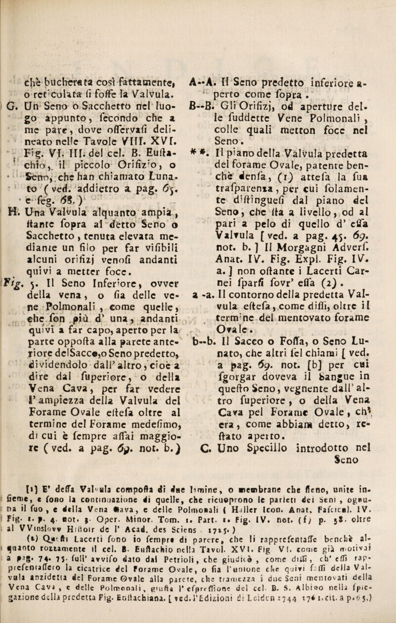 che bucherata così fattamente# o reticolata 11 fotte la Valvula. G. Un Seno ó Sacchetto nel luo¬ go appunto, fecondo che a me pare, dove oflervafi deli¬ neato nelle Tavole VITI. XVI. Fig. VI. IH. de! cel. B. Eufta- chioil piccolo Orifizi, o Seno, che han chiamato Luna* to ( ved. addietro a. pag. 65, e feg. 68. ) H. Una Valvula alquanto ampia, liantc fopra al detto Seno o Sacchetto , tenuta elevata me¬ diante un filo per far vifibili alcuni orifizi venofi andanti quivi a metter foce. Ffg. y II Seno Inferiore, ovver della vena, o fia delle ve¬ ne Polmonali , come quelle, che fon più d’ una , andanti quivi a far capo, aperto per la parte oppofta alla parete ante¬ riore dcISaccojo Seno predetto, dividendolo dalP altro, cioè a dire dal fuperiorc, o della Vena Cava, per far vedere r ampiezza della Valvula del Forarne Ovale ettefa oltre al termine del Forame medefimo, di cui è Icmpre affai maggio¬ re (ved. a pag. 69. not. b.) A—A. II Seno predetto inferiore &• x perto come fopra . B—B. Gli Orifizj, od aperture del¬ le fuddette Vene Polmonali , colle quali raetton foce nel Seno. * *• Il piano della Valvula predetta del forame Ovale, patente ben¬ ché denfa, (i) attefa la fua trafparenxa , per cui fidamen¬ te efittinguefi dal piano del Seno, che ita a livello, od al pari a pelo di quello dy cfla Valvula [ved. a pag. 45. 69. not. b. ] Il Morgagni Adverf. Anat. IV. Fig. Expi. Fig. IV. a. ] non ottante i Lacerti Car¬ nei fparfi fovr5 etta (2) . a -a. II contorno della predetta Val¬ vula ettefa, come ditti, oltre il ternane del mentovato forame ■ ' * ; j .. ' « Ovale. b-b. Il Sacco o Fotta, o Seno Lu¬ nato, che altri lèi chiami [ ved. a pag. 69. not. [b] per cui fgorgar doveva il Sangue in quetto Seno, vegnente dall5 al¬ tro fuperiorc , o delia Vena Cava pel Forame Ovale , eh** era, come abbiam detto, re¬ ttalo aperto. C. Uno Specillo introdotto nel Seno li] E’ della Val1 ala comporta di dae limine, © membrane ebe fieno, unite in¬ fense, e fono ia continuazione di quelle, che ricuoprono le parieti det Sem , ogmi- Da il fuo , e della Vena ftava, e delle Polmonali ( Hdlcr Icon. Anat, Fafcicel. IV. Fig- 1. p. 4, «sot. $• Oper. Minor. Tom. i. Part. «• Fig. IV. not. (i) p. 5$. oltre al VVmslovv Hiiioir de 1* Acad. des Sciens . 1715*) (i) Qjitftì Lacerti fono io Tempre di parere, che li rapprefentaffe benché al¬ quanto foltamente il cel. B- Euftachio nella Tavol. XVI. Fig VI. come già motivai a P'}§* 74» 75- full* avvifo dato dal Petrioli, che giudicò , come dilli, eh* e fTì rap- prefenraffero la cicatrice del Forame Ovale, o fia l'unione cUe quivi falli della Vai- vaia anzidctia de! Forame ©vale alla parere, che tramezza i due Seni mentovati della Vena Cava , e delle Polmonali v grulla 1* efprtflìone del cel- B. S. Albico neìia fpìo «azione dilla predetta Fig- EaiUchiaru. [ ?ed. FEdizioni ài Leiden 1744 ijé i.cit. a p.ó 5,)