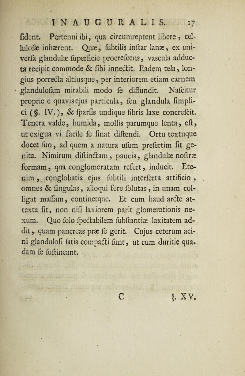 lident. Pertenui ibi, qua circumreptent libere, cel- lulofae inhaerent. Quae, fubtilis inftar lanae, ex uni- verfa glandulae fuperficie procrefcens, vascula adduc¬ ta recipit commode & fibi innedit. Eadem tela, lon¬ gius porreda altiusque, per interiorem etiam carnem • glandulofam mirabili modo fe diffundit. Nafcitur proprie e quavis ejus particula, feu glandula Ampli¬ et §. IV.), & fparfis undique fibris laxe concrelcit. Tenera valde, humida, mollis parumque lenta, eft, ut exigua vi facile fe finat diftendi. Ortu textuque docet fuo, ad quem a natura ufum prefertim fit ge¬ nita. Nimirum diffindam, paucis, glandulae noftrae formam, qua conglomeratam refert, inducit. Ete¬ nim , conglobatis ejus fubtili interferta artificio , omnes & fingulas, alioqui fere folutas, in unam col¬ ligat maffam, continetque. Et cum haud arde at¬ texta fit, non nifi laxiorem parit glomerationis ne¬ xum. Quo folo fpedabilem fubftantiae laxitatem ad¬ dit, quam pancreas prae fe gerit. Cujus ceterum aci¬ ni glandulofi fatis compadi funt, ut cum duritie qua. dam fe fuftineant. C 5. XV.