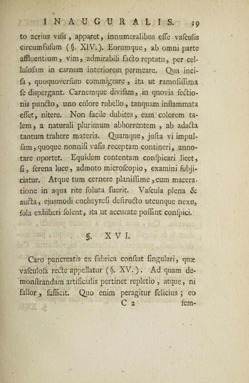 to acrius vifu , apparet, innumeralibus efle vafculis circumfufum ((j. XIV.). Eorumque, ab omni parte affluentium, vim, admirabili facio reptatu, per cel- lulofam in carnem interiorem permeare. Qua inci- fa , quoquoverfum commigrare , ita ut ramo ii Clima fe dispergant. Carnemque divifam, in quovis fedtio- nis pundto, uno colore rubello, tanquam inflammata efflet, nitere. Non facile dubites, eam colorem ta¬ lem, a naturali plurimum abhorrentem , ab adadla tantum trahere materia. Quamque, jufta vi impul- fam, quoque nonnifi vafis receptam contineri, anno¬ tare oportet. Equidem contentam conipicari licet, fi, ferenaluce, admoto microfcopio, examini fubji- > * ciatur. Atque tum cernere planiffime ,cum macera¬ tione in aqua rite foluta fuerit. Vafcula plena & aucla, ejusmodi encheyrefi deftrudlo utcunque nexu, fola exhiberi folent, ita ut accurate pollint confpici. §. X V I. Caro pancreatis ex fabrica conftat lingulari, quae vafculofa recle appellatur (§. XV. ) . Ad quam de- monftrandam artificialis pertinet repletio, atque, ni fallor, fufficit. Quo enim peragitur felicius ; eo C 2 fem-