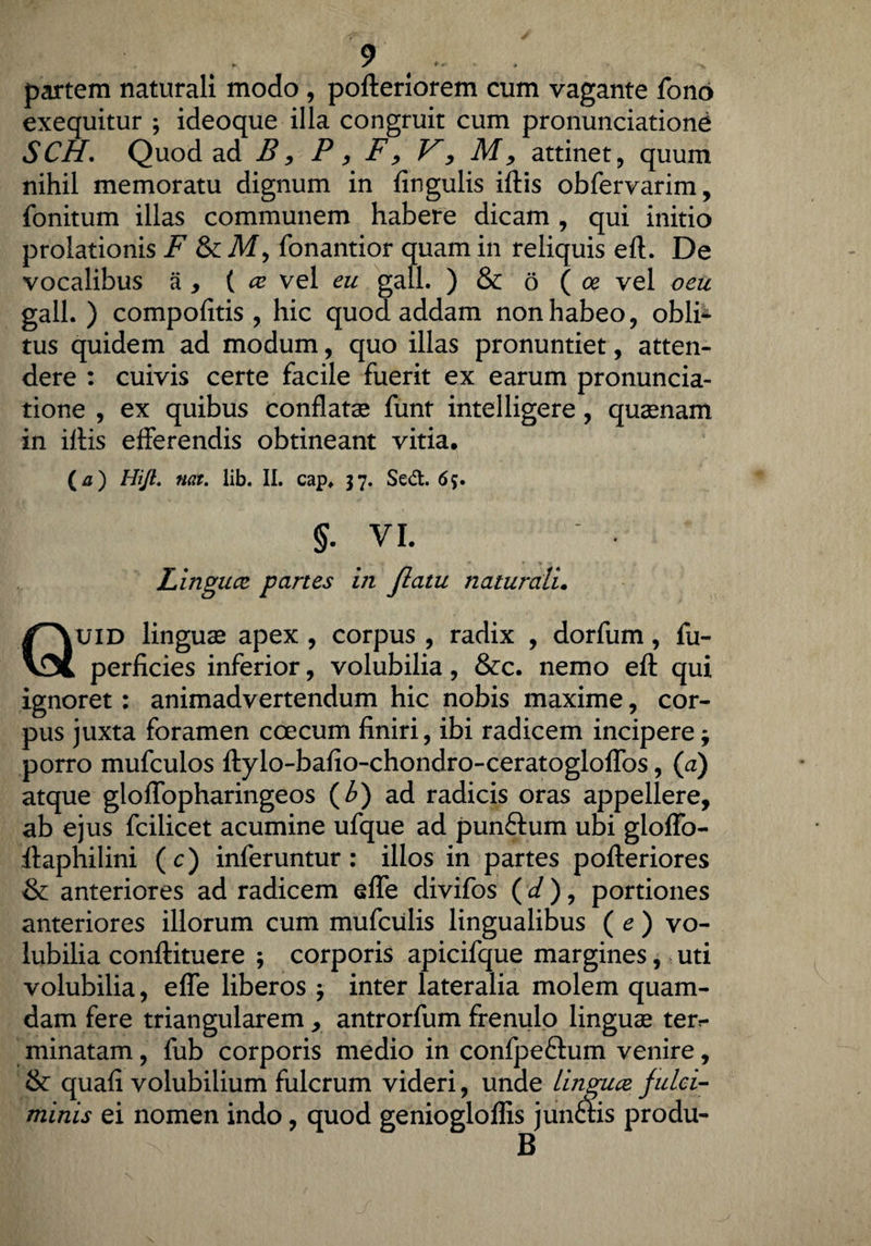partem naturali modo , pofteriorem cum vagante fono exequitur ; ideoque illa congruit cum pronunciatione SCH. Quod ad B, P, F> V, M, attinet, quum nihil memoratu dignum in lingulis iftis obfervarim, fonitum illas communem habere dicam , qui initio prolationis F & M, fonantior quam in reliquis eft. De vocalibus a , ( cc vel eu gail. ) & 6 ( ce vel oeu gall. ) compofitis , hic quod addam non habeo, obli¬ tus quidem ad modum, quo illas pronuntiet, atten¬ dere : cuivis certe facile fuerit ex earum pronuncia¬ tione , ex quibus conflatae funt intelligere, quaenam in illis efferendis obtineant vitia. (a) HiJL nat. lib. II. cap# 37. Sed. 65. §. vi. Lingua* panes in Jlatu naturali. Quid linguae apex , corpus , radix , dorfum, fu- perficies inferior, volubilia, &c. nemo eft qui ignoret : animadvertendum hic nobis maxime, cor¬ pus juxta foramen coecum finiri, ibi radicem incipere $ porro mufculos ftylo-bafio-chondro-ceratogloffos, (a) atque gloffopharingeos {b) ad radicis oras appellere, ab ejus fcilicet acumine ufque ad punftum ubi gloffo- liaphilini (c) inferuntur: illos in partes pofteriores & anteriores ad radicem elfe divifos (d), portiones anteriores illorum cum mufculis lingualibus (e) vo¬ lubilia conftituere ; corporis apicifque margines, uti volubilia, effe liberos 3 inter lateralia molem quam¬ dam fere triangularem, antrorfum frenulo linguae ter^ minatam, fub corporis medio in confpeflum venire, & quafi volubilium fulcrum videri, unde linguce fulci¬ minis ei nomen indo, quod geniogloffis junctis produ- B