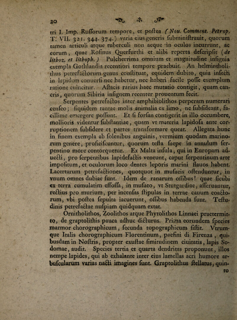 tri I. Imp. Rufiorum tempore, et pofiea (Nou. Comment. Petrop. T. VII. 321. 344.374.) varia eius generis fubminiftrauit, quorum tamen articuli atque tuberculi non aeque in oculos incurrunt, ac eorum, quae Rofinus Querfurthi et alibi reperta defcriplit (de lithoz. et litboph.) Pulcherrima omnium et magnitudine inlignia exempla Gothlandia recentiori tempore praebuit. A11 helmintholi- thus perrefaclorum genus conffituat, equidem dubito, quia infecli in lapidem conuerfi nec habetur, nec haberi facile pofie exemplum ratione euincitur. Aftacis rarius haec mutatio contigit, quam can¬ cris, quorum Sibiria infignem recenter prouentum fecit. Serpentes petrefaftos inter amphibiolithos perperam numerari cenfeo ; fiquidem tantae molis animalia ex limo , ne fubfideant, fa¬ cillime emergere pofiunt. Et fi forfan contigerit in illo occumbere, mollioris videntur fubfiantiae, quam vt materia lapidofa ante cor¬ ruptionem fubfidere et partes transformare queat. Allegata hunc in finem exempla ab folenibus anguinis, vermium quodam marino¬ rum genere, proficifcuntur, quorum tefia faepe in annulum fer- pentino more contorquetur. Ex Malta infula, qui in Europam ad- uefli, pro ferpentibus lapidefa£tis veneunt, caput ferpentinum arte impolitum, et oculorum loco dentes leporis marini flauos habent. Lacertarum petrefaffiones, quotquot in mufaeis offenduntur, in vnum omnes dubiae funt. Idem de ranarum ofiibus! quae ficubi ex terra cumulatim effofia, in mufaeo, vt Stutgardiae, afleruantur, reffius pro murium, per incenfas ffipulas in terrae cauum coafto- rum, vbi poffea fepulta iacuerunt, ofiibus habenda funt. Teftu- dinis petrefaffae nufpiam quidquam extat. Ornitholithos, Zoolithos atque Phytolithos Linnaei praetermit- tQ, de graptolithis pauca adhuc di&urus. Prima eorundem fpecies marmor chorographicum, fecunda topographicum fiffit. Vtrum- que Italis chorographicum Florentinum, paefini di Firenza , qui¬ busdam in Nofiris, propter exuftae fimitudinem ciuitatis, lapis So- domae, audit. Species tertia et quarta dendritas proponunt, illos nempe lapides, qui ab exhalante inter eius lamellas acri humore ar- bufcularum varias nafti imagines funt. Graptolithus ftellatus, quin¬ to