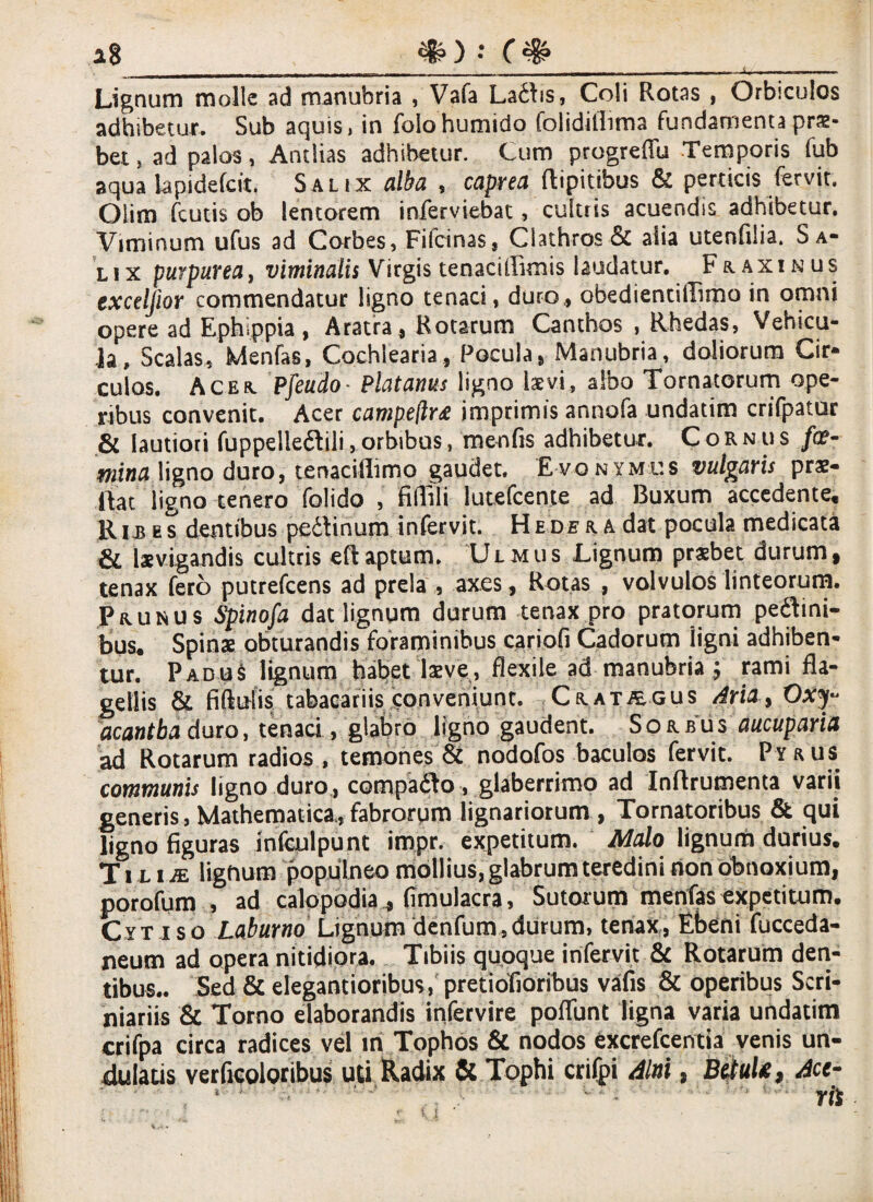 # *8_ Lignum molle ad manubria , Vafa Laftis, Coli Rotas , Orbiculos adhibetur. Sub aquis, in folohumido folidillima fundamenta prae¬ bet , ad palos, Antlias adhibetur. Cum progreffu Temporis fub aqua iapidefcit. Salix alba , caprea ftipitibus & perticis fervit. Qiim fcutis ob lentorem inferviebat, cultris acuendis adhibetur. Viminum ufus ad Corbes, Fifcinas, Clathros & alia utenfilia. Sa¬ lix purpurea, viminalis Virgis tenacillimis laudatur. Fraxinus exceljior commendatur ligno tenaci, duro,, obedientillimo in omni opere ad Ephippia, Aratra, Rotarum Canthos , Rhedas, Vehicu¬ la, Scalas, Menfas, Cochlearia, Pocula, Manubria, doliorum Cir¬ culos. Acer. Pfeudo- Platanus ligno laev.i, albo Tornatorum ope¬ ribus convenit. Acer campe(lr£ imprimis annofa undatim crifpatur & lautiori fuppeile&ili, orbibus, menfis adhibetur. Cornus /o?- mina ligno duro, tenaciilimo gaudet. Evonymus vulgaris praz- ftat ligno tenero folido , fifiiii lutefcente ad Buxum accedente, Rie es dentibus pedlinum infervit. Hedera dat pocula medicata & laevigandis cultris eftaptum. Ulmus Lignum praebet durum, tenax fero putrefcens ad prela , axes, Rotas , volvulos linteorum. Prunus Spinofa dat lignum durum tenax pro pratorum pectini¬ bus, Spinae obturandis foraminibus cariofi Cadorum ligni adhiben¬ tur. Padus lignum habet laeve, flexile ad manubria ; rami fla¬ gellis & fiftuiis tabacariis conveniunt. Crat^egus Arta, acantba duro, tenaci, glabro ligno gaudent. Sorbus' aucuparia ad Rotarum radios , temones & nodofos baculos fervit. Pyrus communis ligno duro , compadlo, glaberrimo ad Inftrumenta varii generis, Mathematica, fabrorpm lignariorum , Tornatoribus & qui ligno figuras infculpunt impr. expetitum. Malo lignum durius. T i l i je ligftum populneo mollius, glabrum teredini non obnoxium, porofum , ad calopbdiafimulacra, Sutorum menfasexpetitum. C yt is o Laburno Lignum denfum» durum, tenax, Ebeni fucceda- neum ad opera nitidiora. Tibiis quoque infervit & Rotarum den¬ tibus.. Sed & elegantioribus, pretiofioribus vafis & operibus Scri- niariis & Torno elaborandis infervire poflunt ligna varia undatim crifpa circa radices vel iri Tophos & nodos excrefcentia venis un¬ dulatis verficoloribus uti Radix & Tophi crifpi Alni, B#ul*9 Ace-
