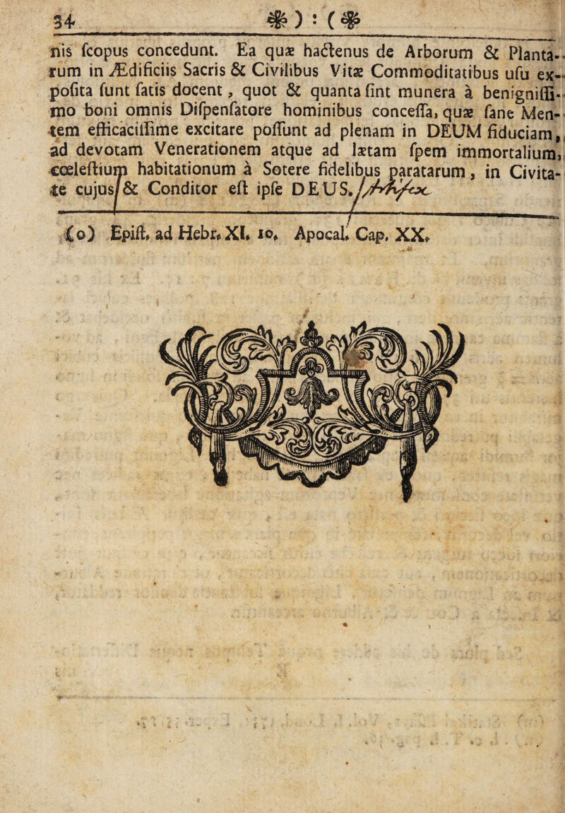 nis fcopus concedunt. Ea quae hadenus de Arborum & Planta¬ rum in iEdificiis Sacris & Civilibus Vitae Commoditatibus ufu ex- pofita funt fatis docent, quot & quanta fint munera a benigniffi- nio boni omnis Difpenfatore hominibus concefla, qua> fane Men¬ tem efficaciffittte excitare poliunt ad plenam in DEUM fiduciam #l devotam Venerationem atque ad Istam fpem immortalium, coeleftium habitationum a Sotere fidelibus paratarum, in Civita¬ te cujo$/& Conditor eft ipfe DEUS, Co) Epift* ad Hebr*Xl» Apocal Cap, XX, \ i x
