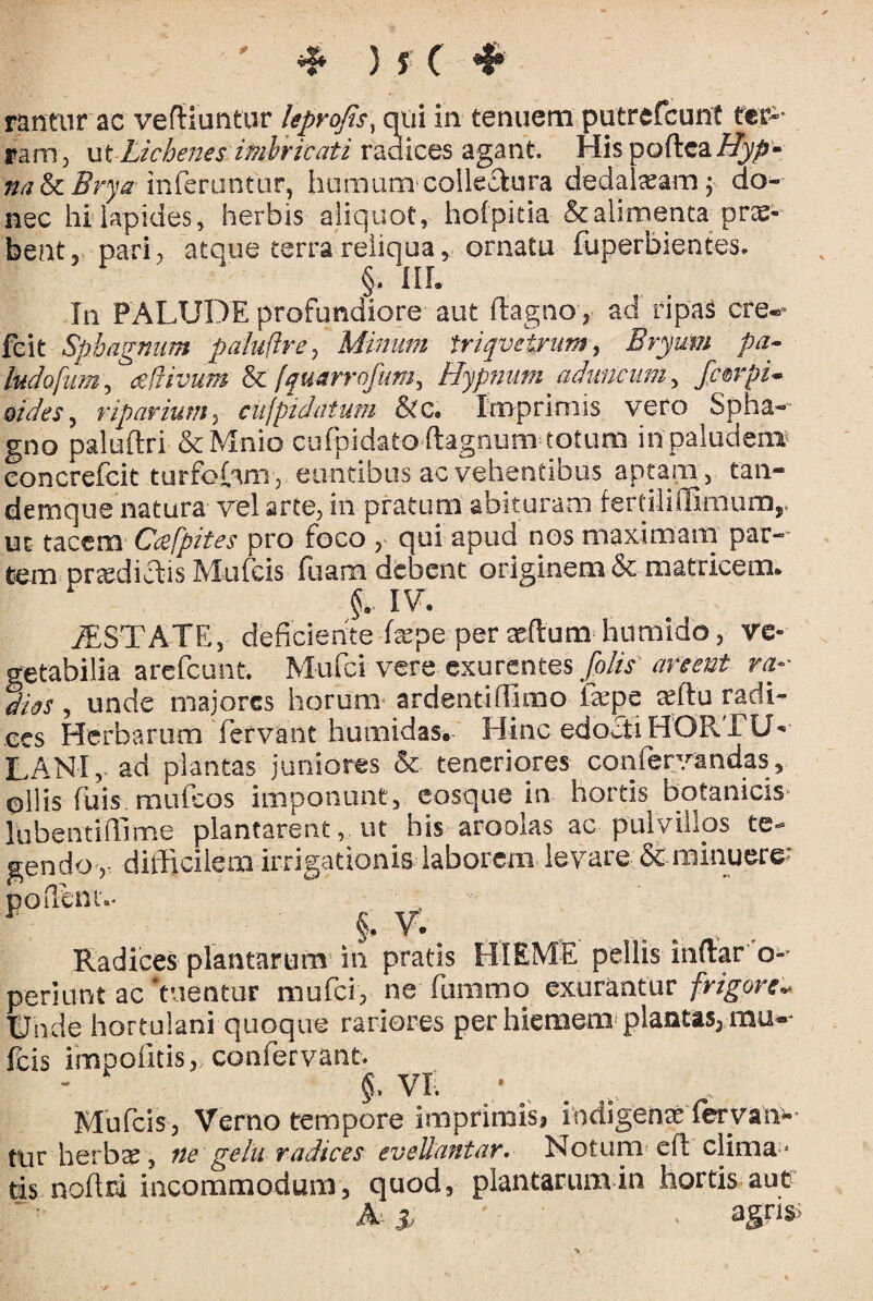  * ) y C * rantur ac vefiiuntur leprofis, qui in tenuem putrcfcunt ter¬ ram, ut. Lichenes imbricati radices agant. His poftea/Zy/)- na&cBrya inferuntur, humum colleftura dedaixam; do¬ nec hi lapides, herbis aliquot, hofpitia & alimenta prx-- bent, pari, atque terra reliqua, ornatu fuperbientes. §. III. In PALUDE profundiore aut ftagno, ad ripas cre«- feit Spbagnum paluflre, Minum irtqveirurn, Bryum pa- ludofum, tsdivum & /quarrofum, Hypnum aduncum, fiarpi- oides, riparium, cufpidatum &c. Imprimis vero Spha¬ gno paluftri & Mnio cufpidato ftagnum totum inpaluden® concrefcit turfoLni, euntibus ac vehentibus aptam, tan- demque natura vel arte, in pratum abituram fertiliffimum,, ut tacem Cafpites pro foco , qui apud nos maximam par¬ tem prxdiclis Mufcis fuam debent originem & matricem. IV. &STATE,- deficiente fxpe per xftumhumido, ve¬ getabilia arefcunt. Mufci vere exurentes filis areeut ra- dies, unde majores horum ardentiffimo ixjje aeftti radi¬ ces Herbarum fervant humidas. Hinc edocti HORTU¬ LANI,• ad plantas juniores & teneriores confervandas, ollis fuis rnufcos imponunt, cosque in hortis botanicis lubentiffime plantarent, ut his aroolas ac pulvillos te¬ gendo,. difficilem irrigationis laborem levare & minuere: pollent- §• V*. .. - . Radices plantarum1 in pratis HIEME pellis inftar o- periunt ac 'tuentur mufci, ne fummo exurantur frigori- Unde hortulani quoque rariores per hiemem plantas, mu-- fcis impolitis, confervant. ■ $• vr. • . 4, . Mufcis, Verno tempore imprimis, indigente fervan¬ tur herbx, ne gelu radices eveUantar. Notum efl clima¬ tis nofiri incommodum, quod, plantarum in hortis aut A i ■ ■ . agris