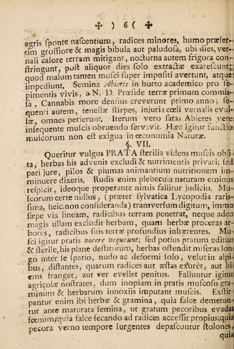 ( * ) 6 ( * agris fponte nafcentium, radices minores, humopracfer- rim ero(Tiore & magis bibula aut paludofa, ubi dies, ver¬ nali calore terram mitigant, no&urna autem frigora con- ftrin^unt, poft aliquot dies (olo extracte exarefcunt;;: .quod malum tamen mufci fuper impofitl avertunt, atque:: impediunt* Semina Abietis m horto academico pro le¬ nimentis vivis, aN. D. Prsefi.de terrae primum commis- fa& Cannabis more denhus creverunt primo anno; fe- quenti autem, tenellae ftirpes, injuria coeli vernalis evul* ix omnes perierunt. Iterum vero fatas Abietes vere: infequente mufeis obruendo fervavit Hxc igitur functio Hiulcorum non eft exigua in oeconomia Naturae. §• VII. . Queritur vulgus PRATA fteriiia videns mufeis obfi- ta herbas his advenis excludi & nutrimentis privari; fed pari jure, pilos & plumas animantium nutritionem im¬ minuere dixeris. Rudis enim plebeciiia naturam eminus refpicit, ideoque properante nimis fallitur judicio. Mu- Icorum certe nullus, ( prseter fylvatica Lycopodia raris- fmia, heianonconfideranda) transverfumdigitum, imma Repe vix lineam, radicibus terram penetrat, neque adea magis ullam excludit herbam, quam herb^ proceras ar¬ bores, radicibus fu is terrae profundius inhxrentes. Mu¬ fci igitur pratis nocere nequeunt; fed potius pratum editius fterile,his plane deftitucum, herbas oflendit mi feras Ioni go inter fe (patio, nudo ac deformi folo, velutin alpi- bus, diftantes, quarum radices aut seftas exuret, aut hi cnis franget, aut ver evellet penitus. Falluntur igitut agricola? noftrates, dum inopiam in pratis mufeofis gra¬ minum & herbarum innoxiis imputant mufeis. Exffir-' pantur enim ibi herbae & gramina, quia falce demetur^ tur ante maturata femina, ut gratum pecoribus evadat fcenum/quia falce fecando ad radices acceffit propius;quia pecora verno tempore (urgentes depafcuntur ftolones,i