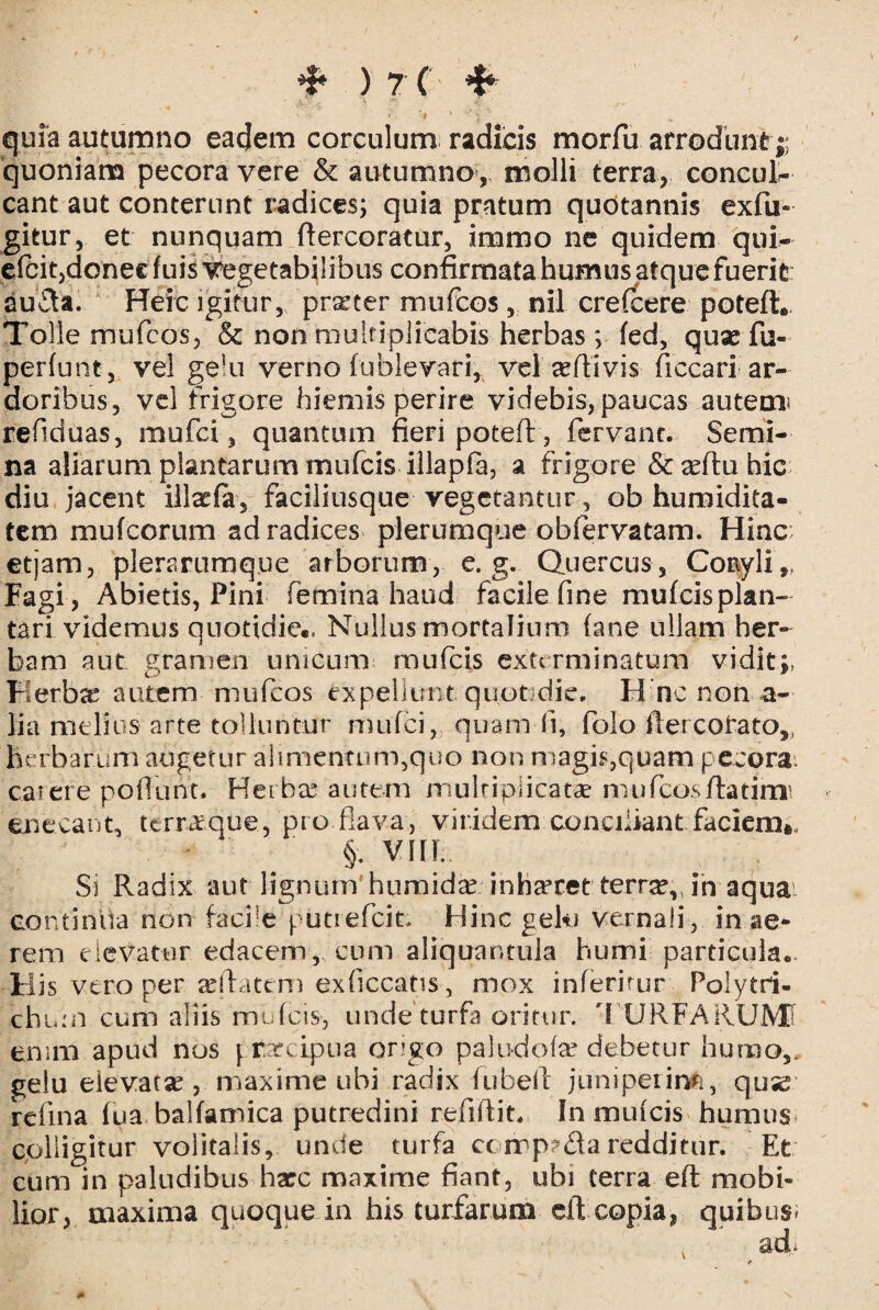 / *£* ) 7 ( 4* quia autumno eadem corculum radicis morfu arrodunt;; quoniam pecora vere & autumno, molli terra, concul¬ cant aut conterunt radices; quia pratum quotannis exfu- gitur, et nunquam ftercoratur, imrao ne quidem qui- e icit, donec fuis vegetabilibus confirmata humus atque fuerit auda. Heic igitur, praeter mufcos, nil crefcere poteft* Tolle mufcos, & non multiplicabis herbas ; fed, quse fu- periunt, vel gelu verno fublevari, vel «ftivis (iccari ar¬ doribus, vel frigore hiemis perire videbis, paucas autem* refiduas, raufci, quantum fieri poteft , fervant. Semi¬ na aliarum plantarum mufcis illapfa, a frigore & «ftu hic diu jacent illaefa, faciliusque vegetantur, ob humidita- tem mufeorum ad radices plerumque obfervatam. Hinc etjam, plerarumque arborum, e. g. Quercus, Cortyli,. Fagi , Abietis, Pini femina haud facile fine mufcisplan- tari videmus quotidie., Nullus mortalium fane ullam her¬ bam aut gramen unicum mufcis exterminatum vidit;, Kerbx autem mufcos £xpellunt quotidie, H nc non a- lia meli us arte tolluntur mufei, quam fi, folo flercotato,, herbarum augetur alimentum,quo non magis,quam pecora, carere poflunc. Herbae autem mu triplicatae mufcos/lati mi enecant, terr^que, pro flava, viridem conciliant faciem», §. vm. Si Radix aut lignum humid^ inhreret terr^v in aqua continua non facile putrefeit. Hinc gelo vernali, in ae¬ rem elevatur edacem, cum aliquantula humi particula- His vero per «flatem exficcatis, mox inferirur Poiytri- cbiun cum aliis mufcis, unde turfa oritur. 'f URFARUMf enim apud nos prarcipua ongo palu-dofa? debetur humo,, gelu eievatse , maxime ubi radix fubell juniperinfe, quse refina fua balfamica putredini refiftit. In mufcis humus colligitur volitatis, unde turfa cc rrp?da redditur. Et cum in paludibus harc maxime fiant, ubi terra eft mobi¬ lior, maxima quoque in his turfarum ell copia, quibus; A