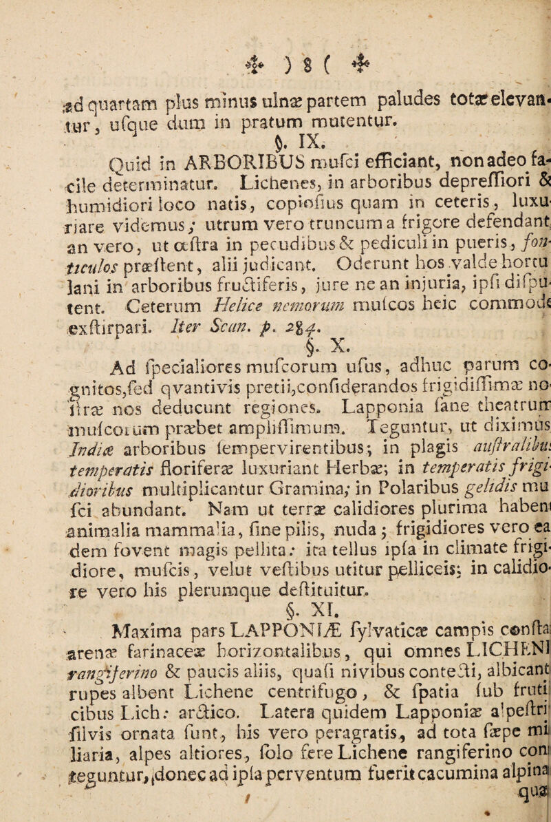 ,«d quartam plus minus ulna? partem paludes tot# elevati- turi ufque dum in pratum mutentur. : IX. Quid in ARBORIBUS mu-fc-i efficiant, non adeo ^ ci!e determinatur. Lichenes, in arboribus depreffiori & humidiori loco natis, copiofios quam in ceteris , luxu nare videmus; utrum vero truncum a frigore defendant an vero, ut ctftra in pecudibus & pediculi in pueris, fon¬ ticulos prseftent, alii judicant. Oderunt hos .valde hortu lani in* arboribus fructiferis, jure ne an injuria, ipfi di'pu¬ tent. Ceterum Helice nemorum mulcos heic commoda exftirpari. Iter Scan. p> §. X. Ad fpecialiores mufcorum ufus, adhuc parum co¬ gnitos, fed qvantivis pretii,confiderandos frigidiffim# no lirae nos deducunt regiones. Lapponia fane theatrum mufcorum praebet ampiiffimum. Teguntur, ut diximus Indue arboribus [empervirentibus; in plagis aiiftralihm temperatis floriferae luxurian t Herbae in temperatis frigi dioribus multiplicantur Gramina; in Polaribus gelidis mu fci abundant. Nam ut terrse calidiores plurima habem animalia mammalia, fine pilis, nuda; frigidiores vero ea dem fovent magis pellita: ita tellus lpfa in climate frigi¬ diore, mufeis, velut veftibus utitur pelliceis: in calidio¬ re vero his plerumque deflituitur. §. XI. Maxima pars LAPPONIdE fylvaticte campis conte arente farinaceae horizontalibus, qui omnes LICHENI rangijerino & paucis aliis, quali nivibus contecti, albicant rupes albent Lichene centrifugo, & fpatia lub fruti cibus Lich: ardtico. Latera quidem Lapponia alpeftrj’ fiivis ornata funt, his vero peragratis., ad tota fepe mii liaria, alpes altiores, fblo fere Lichene rangiferino coni Reguntur, tdonecaq ipfa perventum fuerit cacumina alpina