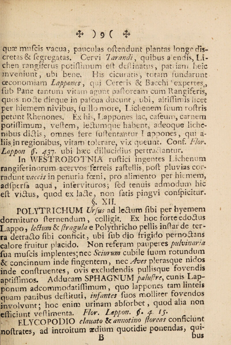 qtTEB miifcis vacua, pauculas offendunt plantas longe dis¬ cretas & fegregatas. Cervi 1 arandi, quibus a endis, li¬ chen rangiferus potifllmum e?f ddlinatus, patdam lieic inveniunt, ubi bene. His cicuiatiy, totam fundarunt oeconomiam Lappones, qui Cereris & Bacchi ®:expertess, fub Pane tantum vitam agunt pa (loream cum R angi feris, quos notie dieq-ue in pafcua ducunt, ubi, 'alriffimis licet per hiemem nivibus, fu lio more, Lichenem futim roftris petunt Rhenones. Ex his, Lap pones lac, cafetim, carnem poti (limum, ve flem, lectumque habent, adeoque liche¬ nibus dictis, omnes fere (u/lentantur I appones, qm a- iiis in regionibus, vitam''tolerare, vix queunt. Conf. Flor. Lappon fi. 4.3*}, ubi hax dillucidius pertractantur. * In WESTROBOTNIA ruftici ingentes Lichenum rangiferinorum acervos ferreis raftdlis., poft pluvias cor¬ radunt vaccis in penuria feni, pro alimento per hicmero, adfperfa aqua, infervituros; fed tenuis admodum hic eft vicius, quod ex lacie, non fatis pingvi confpicitur. §. XII. POLYTRICHUM Urfus ad IcSum fibi per hyetnem dormituro (lernendum , colligit. Ex hoc forte edo3us Lappo ? leSlum & flragula e Polythricho pellis inPar de ter¬ ra detracto fibi conficit, ubi fub dio frigido pernoctans calore fruitur placido. Non referam pauperes pulvinaria fua mufeis implentes;nec Sciurum cubile fuutn rotundum & concinnum inde fingentem, nec Aves plerasque nidos inde conftruentes, ovis excludendis pullisque fovendis aptiffimos. Adducam SPH AGNUM palufhe, cunis Lap¬ pon 11 m adeommodatiffimum, quo lappones tam linteis quam panibus ddtkuti, infantes fuos molliter fovendos involvunt ; hoc enim urinam abforbet, quod aha non efficiunt veflimenta. Flor. Lappon. fi. /J. ELYCOPODIO clauato & annotino floreas conficiunt noftrates, ad introitum xdium quotidie ponendas, qui- ous