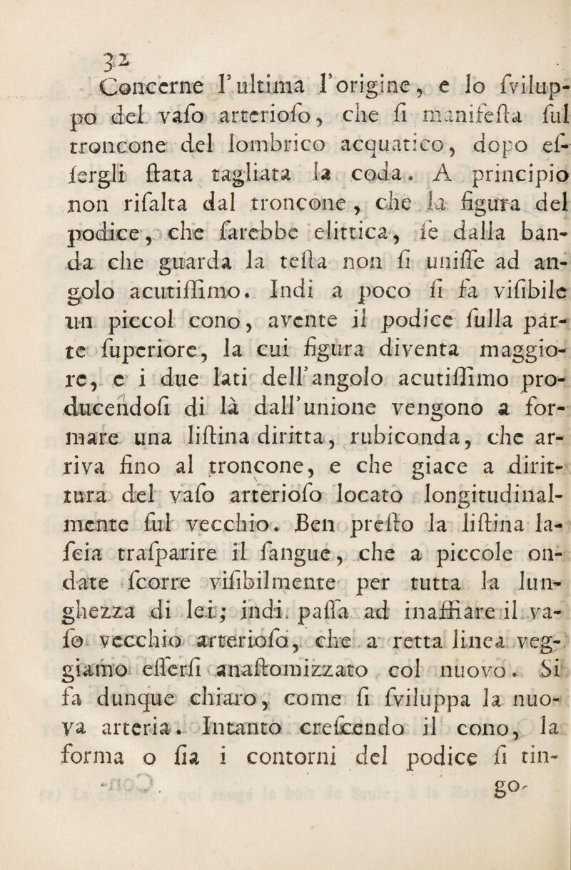 3^ > ... . ' Concerne l’ultima l’origine, e lo (Vilup¬ po del vafo arteriofo, che fi manifefta fui troncone del lombrico acquatico, dopo ef- iergli (lata tagliata la coda. A principio non rifalta dal troncone , che la figura del podice, che farebbe elittica, fé dalla ban¬ da che guarda la teda non fi muffe ad an¬ golo acutiffimo. Indi a poco fi fa vifibilc un piccol cono, avente il podice fulla par¬ te fupcriore, la cui figura diventa maggio¬ re, c i due lati dell’angolo acutiffimo pro- ducehdofi di là dall’unione vengono a for¬ mare una liftina diritta, rubiconda, che ar¬ riva fino al troncone, e che giace a dirit¬ tura del vafo arteriofo locato longitudinal¬ mente fui vecchio. Ben prefto la liftina la- feia trafparire il (àngue, che a piccole on¬ date feorre vifibilrnente per tutta la lun¬ ghezza di lei.; indi, palla ad inaffiare il va¬ io vecchio arteriofo, che a retta linea veg- giamo efferii anaftomizzato col nuovo. Si fa dunque chiaro, come fi fviluppa la nuo¬ va arteria. Intanto crefcendo il cono, la forma o ila i contorni del podice fi tin-