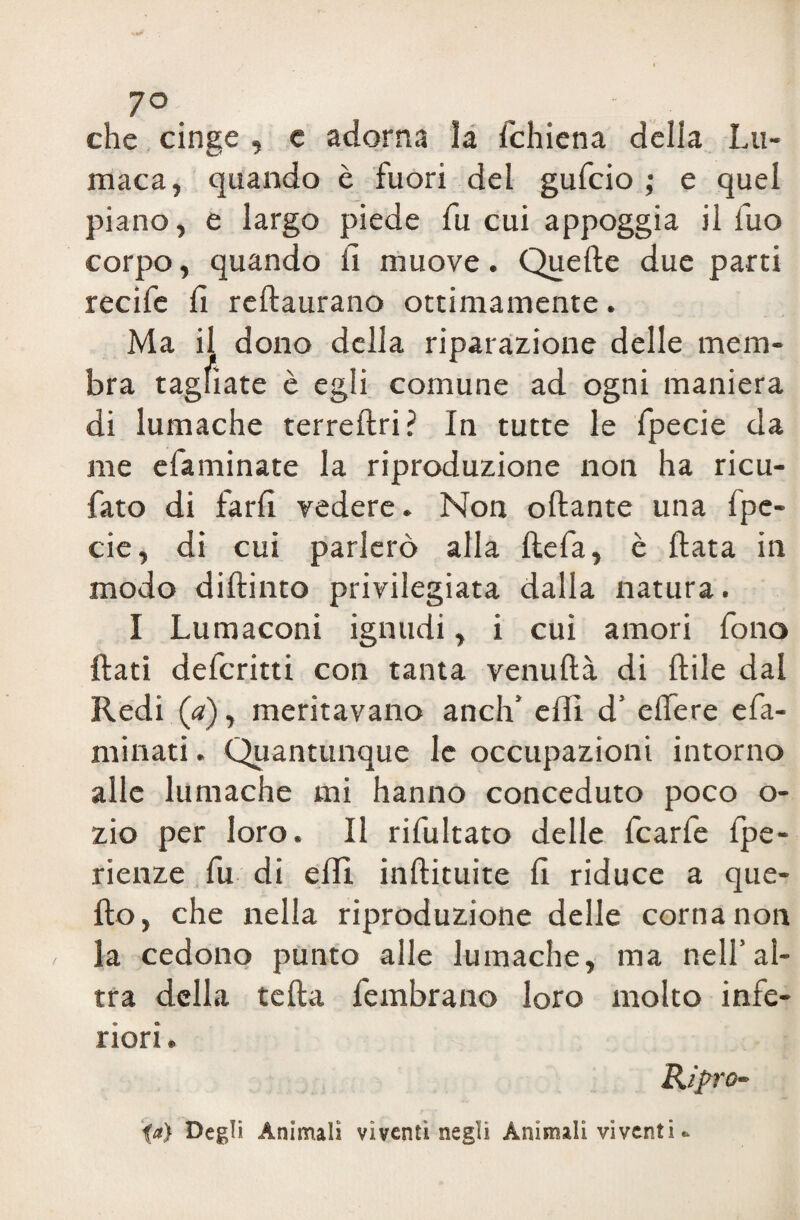 7°. che cinge , e adorna la fchiena delia Lu¬ maca, quando è fuori del gufcio ; e quel piano, e largo piede fu cui appoggia il fuo corpo, quando fi muove. Quelle due parti recife fi reflaurano ottimamente. Ma il dono della riparazione delle mem¬ bra tagliate è egli comune ad ogni maniera di lumache terreflri? In tutte le fpecie da me efaminate la riproduzione non ha ricu- fato di farli vedere. Non oliarne una fpe¬ cie, di cui parlerò alla Uefa, è fiata in modo dillinto privilegiata dalla natura. I Lumaconi ignudi, i cui amori fono flati defcritti con tanta venuflà di llile dal Redi Q), meritavano aneli’ eflì d’ elfere efa- minati. Quantunque le occupazioni intorno alle lumache mi hanno conceduto poco o- zio per loro. Il rifultato delle fcarfe fpe- rienze fu di elfi, inllituite fi riduce a que¬ llo, che nella riproduzione delle corna non la cedono punto alle lumache, ma nell’al¬ tra della tefla fembrano loro molto infe¬ riori. Kipro- ia) Degli Animali viventi negli Animali viventi *