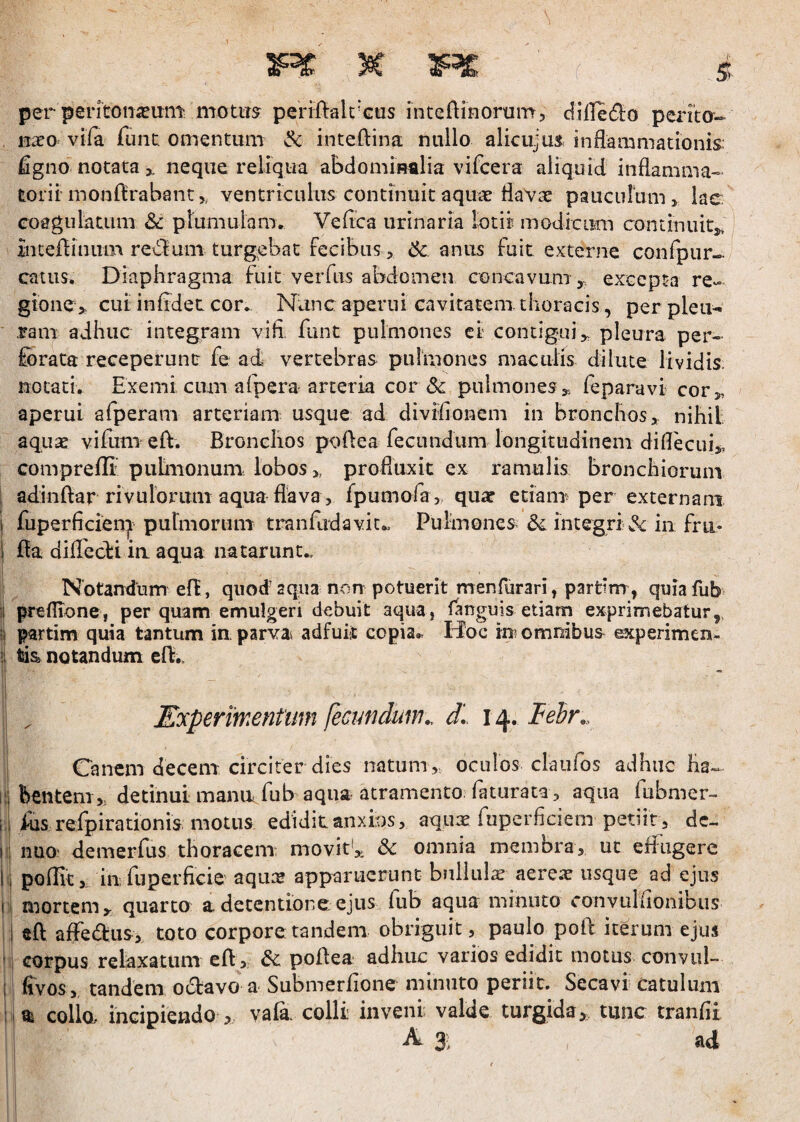 per peritoiiiemit motws perifl:alt'Gas inteftinortim, dilTedlio perita- n^o vila funt omentum Sc inteftina nullo alicujus inflammationis: figno notata ^ neque reliqua abdomiRalia vifcera aliquid inflamma¬ torii monflrabanc,, ventriculus continuit aqme flaVae pauciirum> lac coagulatum & plumulam. Veflca urinaria lotii modicum continuit^, | inteflinum reulum turgebat fecibus, ik anus fuit externe confpur- catus. Diaphragma fuit verfus ahdomeu cencavum,, excepta re¬ gione > ciu infidet cor. Nane aperui cavitatem thoracis, per pleii-^ ram adhuc integram vifi fiint pulmones ct contigui:,, pleura per¬ forata receperunt: fe ad vertebras pulmones maculis dilute lividis, notati. Exemi cum afpera arteria cor & pulmonesy, feparavi cor,, aperui afperam arteriam usque ad divifionem in bronchos, nihil aquae viflim eft. Bronchos poflea fecundum longitudinem diflecuij. comprefit puhiionum lobos,, profluxit ex ramulis bronchiorum adinftar rivulorum aqua flava, fpumofa ,, quae etiam^ per externam i fuperficien^ purmorum tranfudavit.. Pulmones 6^ integriMSi in frii- l fla diflecfi ia aqua natarunt.. Notandum efl, quod aqiia non potuerit menfurari, partim, quiafub ii preflTone, per quam emulgeri debuit aqua, fanguis etiam exprimebatur,, ;i partim quia tantum in parvas adfuit copia.v Hoc in omnibus experimen^ ;i tii& notandum efl.. . Experimentum [ecmdmn,. d., 14. lehr.. Ornem decem circiter dies natum, oculos claufos adhuc ha¬ bentem,, detinui manu fub aqua atramento faturata, aqua fubmer- flis refpirationis: motus edidit anxios, aqua: fuperficiem petiit, de- nuo^ demerflis thoracem movit',, &: omnia membra, ut effugere poflit, in, fuperficie aqiuT apparuerunt bullulae aere.T usque ad ejus mortem, quarto a detentione, ejus fub aqua minuto convulfioiiibiis efl affedlus, toto corpore tandem obriguit, paulo pofl iterum ejus corpus relaxatum efl,, & poflea adhuc varios edidit motus convul- fivos,, tandem odavo a Submerfione minuto periit. Secavi catulum m collo,, incipiendo > vafa. colli inveni; valde turgida, tunc tranfli A 3: ad i I