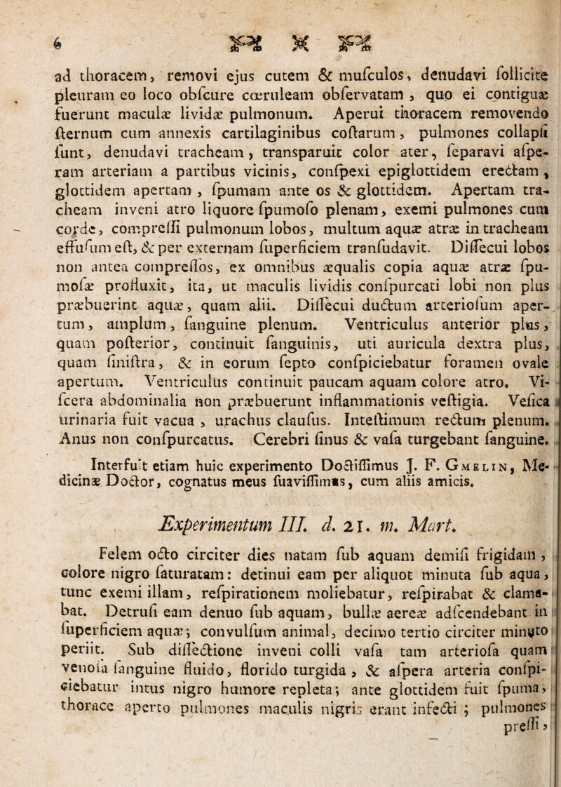 ad thoracem, removi ejus cutem & mufculos, denudavi folllcite pleuram eo loco obfcure caeruleam obfervatam , quo ei contiguae fuerunt maculae livida; pulmonum. Aperui tharacem removendo fternum cum annexis cartilaginibus coftarum, pulmones collapU funt, denudavi tracheam, transparuic color ater, feparavi afpe- ram arteriam a partibus vicinis, confpexi epiglottidem eredlam , glottidem apertam , fpumam ante os Sc glottidem. Apertam tra¬ cheam inveni atro liquore rpumolb plenam, exemi pulmones cum cojdc, compreffi pulmonum lobos, multum aquae atras in tracheam effuhim eft, dcper externam fuperficiem cranfudavit. Dillecui lobos non antea compreflos, ex omnibus asqualis copia aqu^ atrae fpu- mofa; profluxit, ita, ut maculis lividis confpurcati lobi non pius i praebuerint aqua;, quam alii. Diflecui dudbuin arceriofum aper¬ tum , amplum, fanguine plenum. Ventriculus anterior plus, quam pofterior, continuit fanguinis, uti auricula dextra plus, quam finiflra, 3c in eorum fepto confpiciebatur foramen ovale apertum. Ventriculus concinuit paucam aquam colore atro, Vi- Icera abdominalia non pra;buerunt inflammationis vcfligia. Vefica ^ urinaria fuit vacua , urachiis claufus. Inteflimum redum plenum., Anus non confpurcatus. Cerebri finus Sc vafa turgebant fanguine. Interfuit etiam huic experimento Docliflimus J. F. Gmelin, Me¬ dicinae Do6lor, cognatus meus fuaviflimis, cum aliis amicis. Experimentum IIL J. 21. nu Mart. Felem odo circiter dies natam fiib aquam demifl frigidam , colore nigro faturaxam: detinui eam per aliquot minuta fub aqua, tunc exemi illam, refpirationem moliebatur, refpirabat & clama¬ bat. Detrufl eam denuo fub aquam, bullir aere^ adfcendebant in luperficiem aqua?; convulfum animal, decimo tertio circiter miniato periit. Sub difledione inveni colli vafa tam artcriofa quam venola fanguine fluido, florido turgida , afpcra arteria confpi- aiebatiir intus nigro humore repleta; ante glottidem fuit fpiimaj thorace aperto pulmones maculis nigrb erant infedi ; pulmones