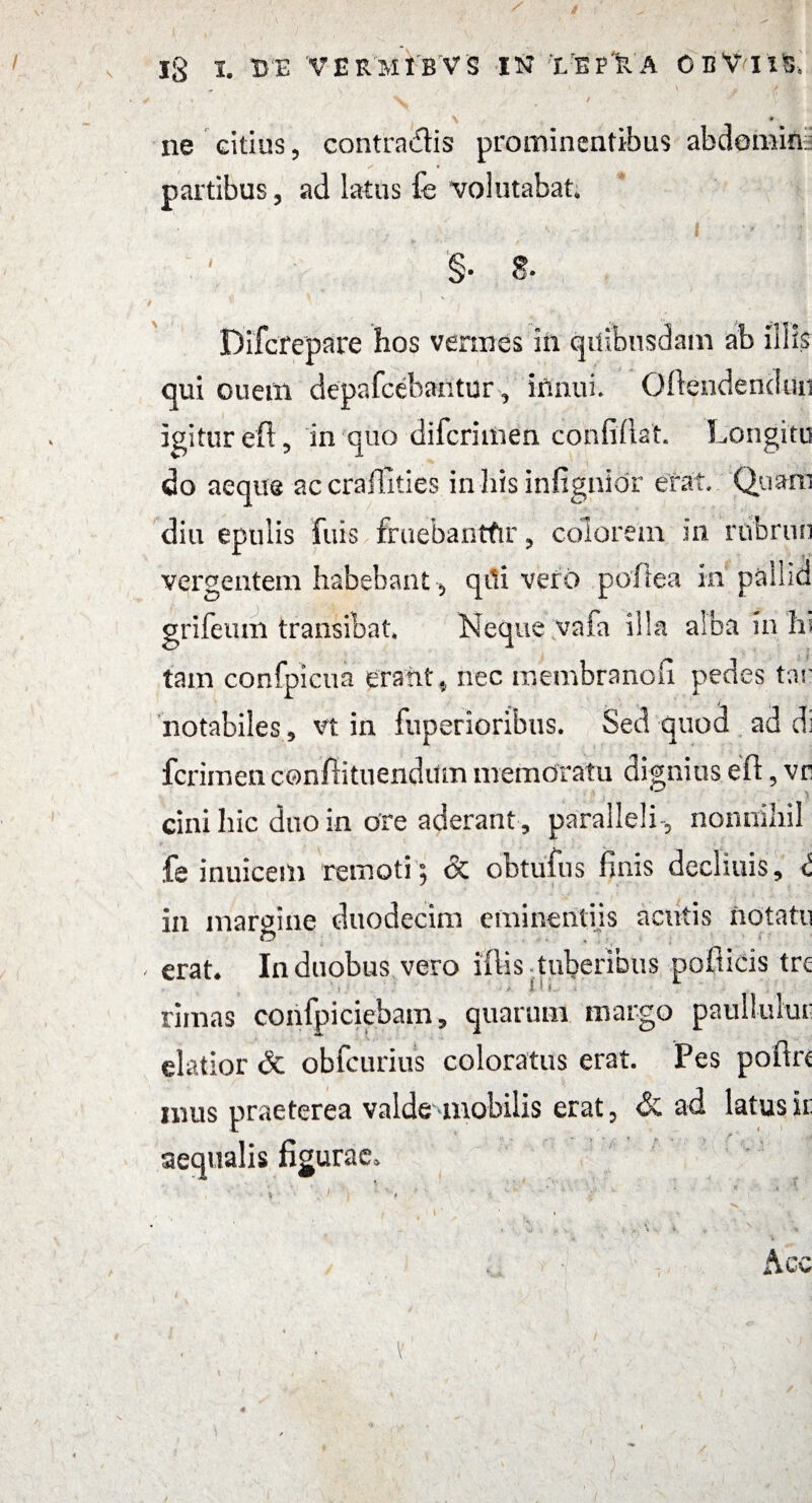 V / ne citius, contradis prominentibus abdomini partibus, ad latus £e volutabat, §■ s. Difcrepare lios vermes in qitibusdam ab illk qui ouem depafcebantur, innui» Qftendenduii igitur eft, in quo difcrimen confidat. Longitu do aeque accrailities in his infignior erat. Quam diu epulis fuis fruebanttir, colorem in rribrun vergentem habebant, qili vero pofiea in pailid grifenm transibat. Neque vaia illa alba in Iu tam confpicua erant t nec membranofi pedes tat: notabiles, vt in fiiperioribus. Sed quod ad di fcrimen confiituendum memoratu dignius eft, vr cinihic dnoin ore aderant , paralleli-, nonnihil fe inuicem remoti’; & obtufus finis declinis, i in margine duodecim eminentiis acutis notatu erat* In duobus vero illis tuberibus pofiicis trc rimas confpiciebam, quarum margo paulluiur elatior <5t obfcurius coloratus erat. Pes poftrt mus praeterea valde mobilis erat, & ad latus it aequalis figurae. ' . t * V * ' « ' i * \ * \ v * . '•s \ ‘ ’ ... » ■ Acc Y I - 1 ' - 4 l Y