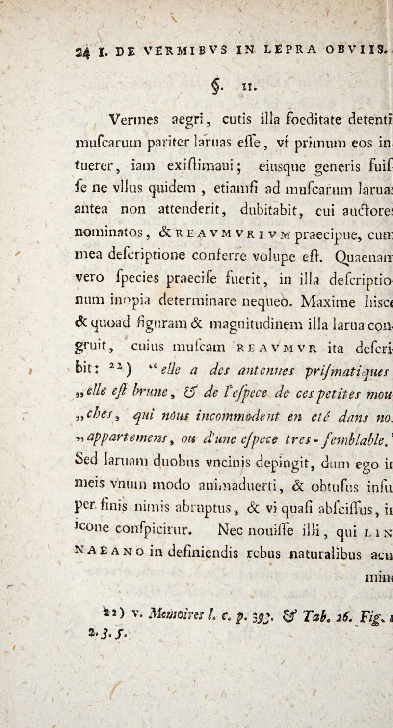 Vermes aegri, cutis illa foeditate detenti mufcarum pariter laruas efle, vt primum eos in tuerer, iain exiflimaui; ei usque generis fuif le ne vllus quidem , etiamfi ad mufcarum larua: antea non attenderit, dubitabit, cui auilore: nominatos, & reavmvrjvm praecipue, cuti' mea defcriptione conferre volupe efh Quaenati vero fpecies praecife fuerit, in illa defcriptio num inopia determinare nequeo. Maxime Iiisa & quoad figuram & magnitudinem illa larua con gruit, cuius mulcam reavmvr ita defcri bit: 21) “ elle a des antennes prijmatiques elle eft brune, £f de Tefpece de ces petit es mou „ ches, qui ndus incommodent en et6 dans no. appartemens y ou durie e/pece tres - femblable,! Sed laruam duobus vncinis depingit, dum ego it nieis vnmn tnodo animaduerti, eSc obtufus iniu per linis nimis abruptus, & vi quafi abfcifliis, ii Jcone confpicirur* Nec nouilTe illi, qui l i n nae ano in definiendis rebus naturalibus acu mini . \ * ' ; t ' ^ 1 SJ> v* Memins L c. p. yj. & Tab. 16. Fig. i s»