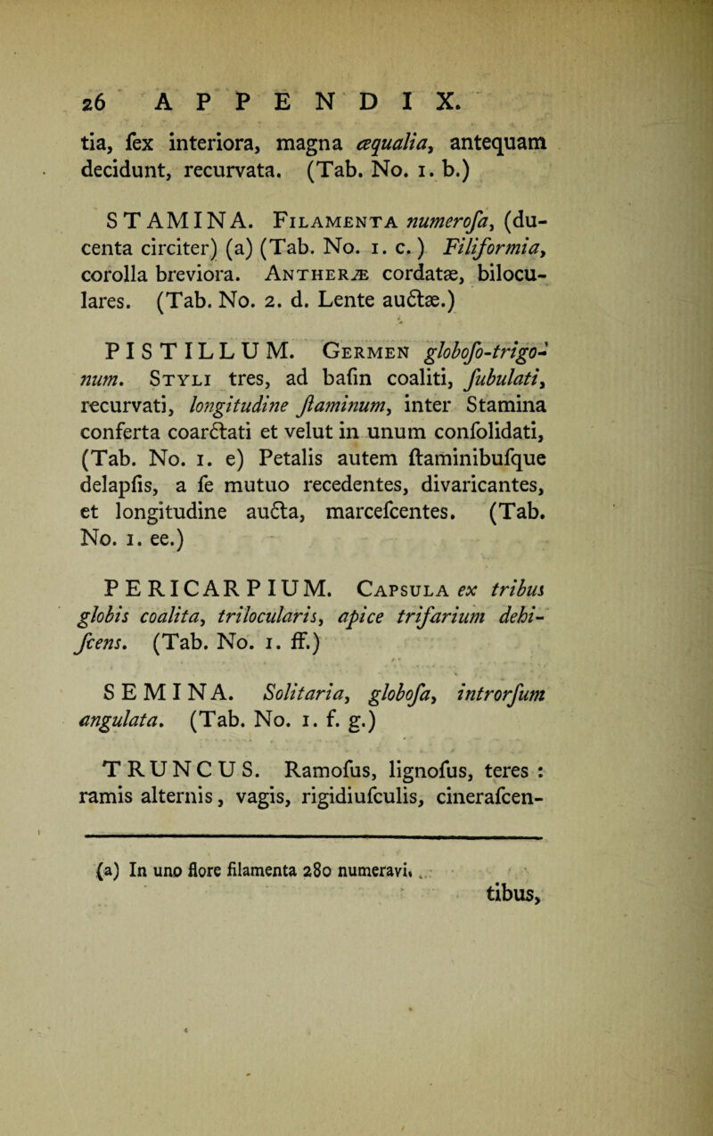 tia, fex interiora, magna aqualia, antequam decidunt, recurvata. (Tab. No. i. b.) STAMINA. Filamenta numerofa, (du¬ centa circiter) (a) (Tab. No. i. c.) Filiformia, corolla breviora. Antherje cordatae, bilocu- lares. (Tab. No. 2. d. Lente auftae.) * PISTILLUM. Germen globofo-trigo- num. Styli tres, ad bafin coaliti, fabulati, recurvati, longituduie ftaminum, inter Stamina conferta coarftati et velut in unum confolidati, (Tab. No. 1. e) Petalis autem ftaminibufque delapfis, a fe mutuo recedentes, divaricantes, et longitudine audta, marcefcentes. (Tab. No. 1. ee.) PERICARPIUM. Capsulae tribui globis coalita, trilocularis, apice trifarium dehi- fcens. (Tab. No. 1. ff.) } t v ^ SEMINA. Solitaria, globofa, introrfum angulata. (Tab. No. 1. f. g.) TRUNCUS. Ramofus, lignofus, teres : ramis alternis, vagis, rigidiufculis, cinerafcen- (a) In uno flore filamenta 280 numeravi» t tibus. t