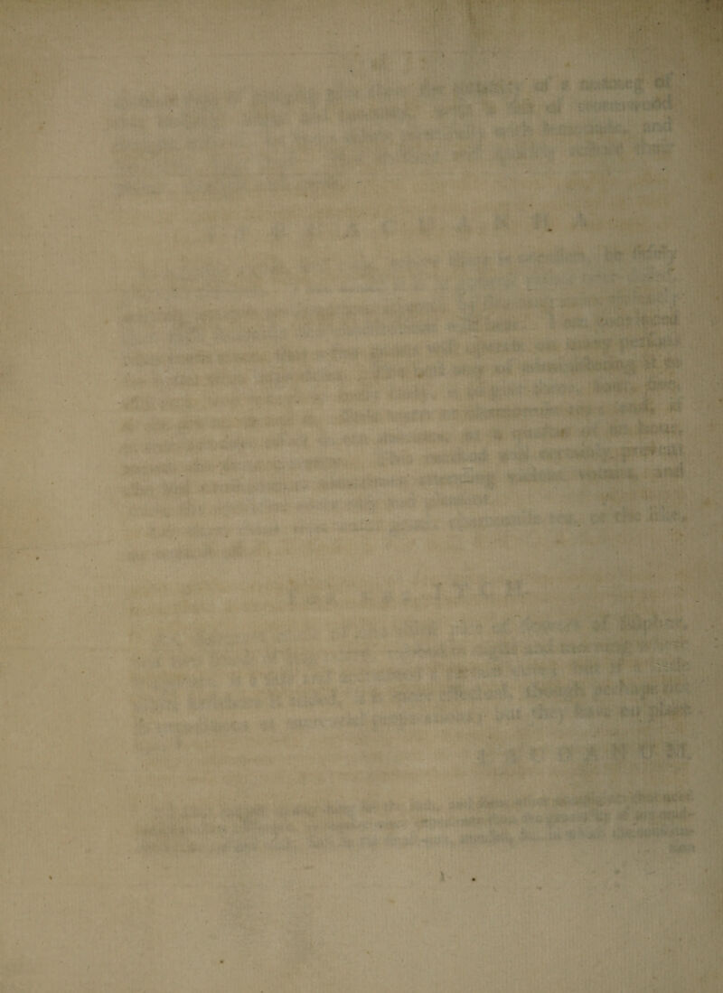 . I ■ :■ Jl- 4 ■ .«*■ ' ' ... ' . - ■ • * :* ■ •» f •>»« - •'* V EjBl ■ ... ^ M> , 'flic Umk ■ ' . i . .... '! ' « } _ \ - ‘ . -» r * »