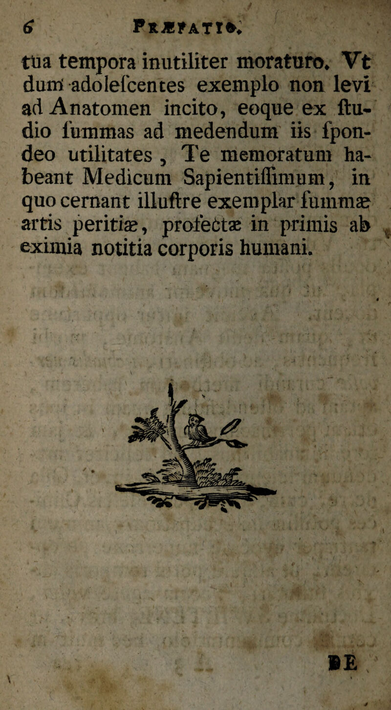 tua tempora inutiliter moraturo. Vt dum adolefcentes exemplo non levi ad Anatomen incito, eoque ex ftu- dio 1’ummas ad medendum iis fpon- deo utilitates , Te memoratum ha¬ beant Medicum Sapientiffiraum, in quo cernant illuftre exemplar fummae artis periticB, profebtae in primis ab ^ eximia notitia corporis humani. i B£ t ■0