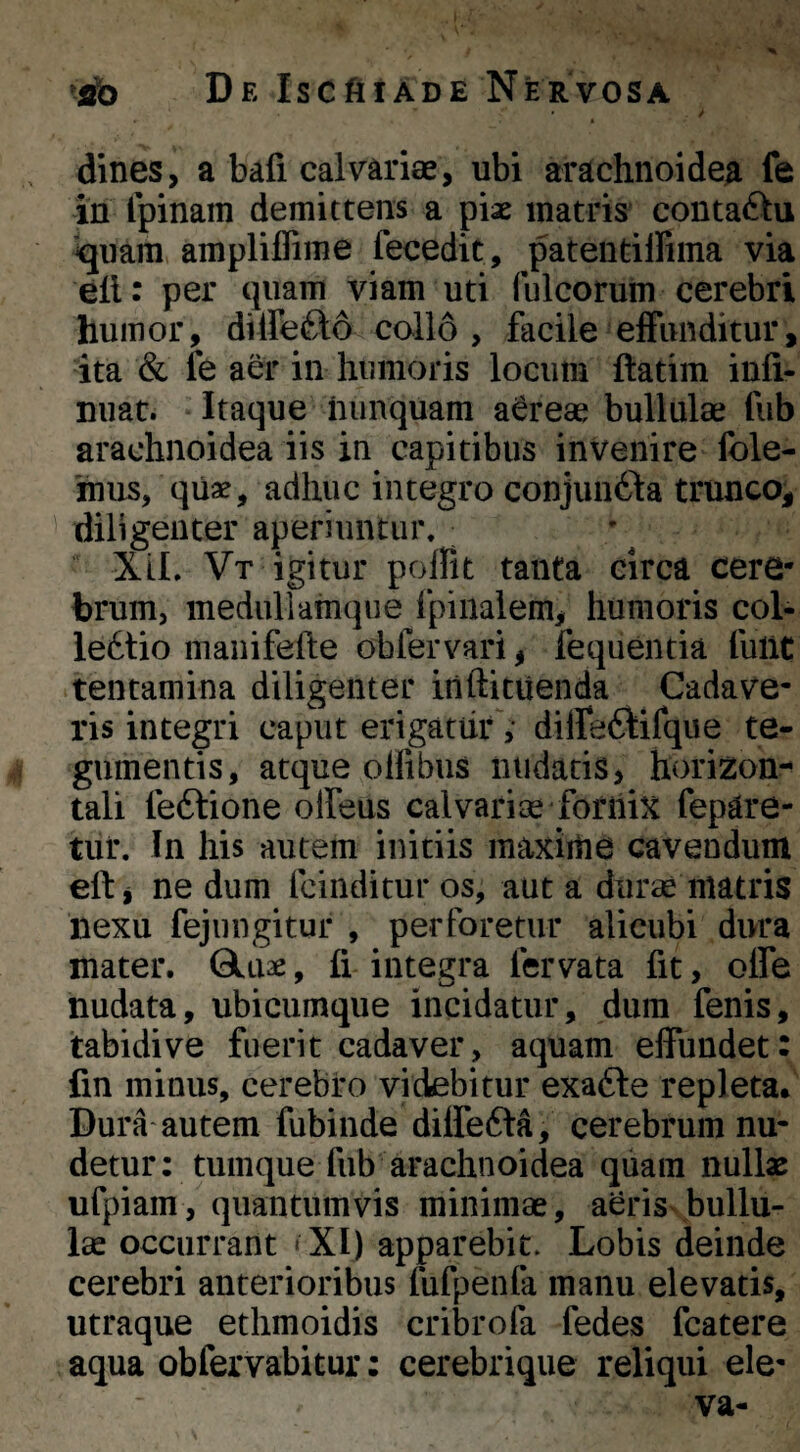 / dines, a bafi calvariae, ubi arachnoidea fe in Ipinam demittens a piae matris contaftu ‘^uam ampliflime fecedit, patentiirima via ell: per quam viam uti Iuleorum cerebri humor, diire£l6 collo, facile effunditur, ita & fe aer in humoris locum ftatim infi- niiat. Itaque nunquam aereae bullulae fiib arachnoidea iis in capitibus invenire fole- hius, qiiae, adhuc integro conjun6ta trunco, diligenter aperiuntur. XlL Vt igitur polRt tanta circa cere¬ brum, inedullamque fpinalem, humoris col- le6tio manifefte obfervari, fequentia fuliC tentamina diligenter iiiftituenda Cadave¬ ris integri caput erigatur,' dilfeftifque te¬ gumentis, atque olfibus nudatis, horizon¬ tali feftione olfeus calvarice foriiix fepare- tur. In his autem initiis maxirtie cavendum eftj ne dum fcinditur os, aut a durae matris liexu fejungitur , perforetur alicubi dura mater. Oluae, fi integra fervata fit, olfe nudata, ubicumque incidatur, dum fenis, tabidive fuerit cadaver, aquam effundet: fin minus, cerebro videbitur exafte repleta. Dura-autem fubinde dilfefta, cerebrum nu¬ detur: tumquefub arachnoidea quam nullas ufpiam, quantumvis minimae, aeris bullu¬ lae occurrant « XI) apparebit. Lobis deinde cerebri anterioribus fufpenfa manu elevatis, utraque ethmoidis cribrofa fedes fcatere aqua obfervabitur: cerebrique reliqui ele¬ va-
