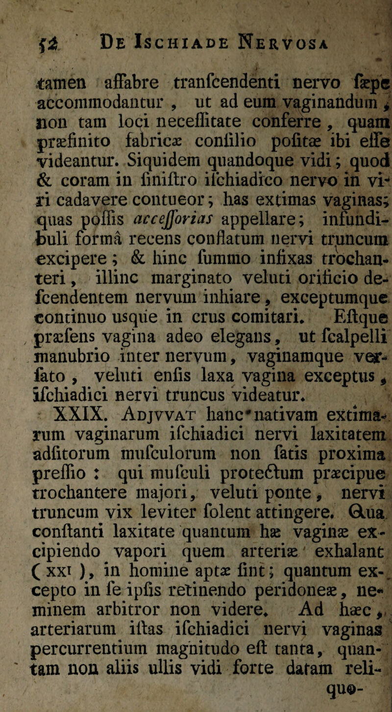 m t tamen affabre tranfcendenti nervo fsepc accommodantur , ut ad eum vaginanduin ^ non tam loci neceffitate conferre, quam praefinito fabricae confilio politae ibi effe videantur. Siquidem quandoque vidi; quod & coram in finiftro ilchiadico nervo in vi*^ ri cadavere contueor; has extimas vaginas; quas poflis accejforias appellare; infundi¬ buli forma recens conflatum nervi trpncum excipere; & hinc fummo infixas trochan¬ teri , ' illinc marginato veluti orificio de- fcendentem nervum inhiare, exceptumque continuo usqiie in crus comitari* Eftque praefens vagina adeo elegans, ut fcalpelli manubrio inter nervum, vaginaraque ver- fato , veluti enfis laxa vagina exceptus ^ ifchiadici nervi truncus videatur* XXIX. Adjvvat hanc*nativam extima-» rum vaginarum ifchiadici nervi laxitatem adfitorum mufculorum non fatis proxima preffio : qui mufculi proteftum praecipue trochantere majori, veluti ponte, nervi truncum vix leviter folent attingere. Qlua conflanti laxitate quantum hse vaginse ex¬ cipiendo vapori quem arteriae' exhalant ( XXI ), in homine aptae fint; quantum ex-, cepto in fe ipfis retinendo peridoneae, ne« minem arbitror non videre* Ad haec,- arteriarum iflas ifchiadici nervi vaginas percurrentium magnitudo eft tanta, quan- ' tam nou aliis ullis vidi forte dafam reli¬ quo-