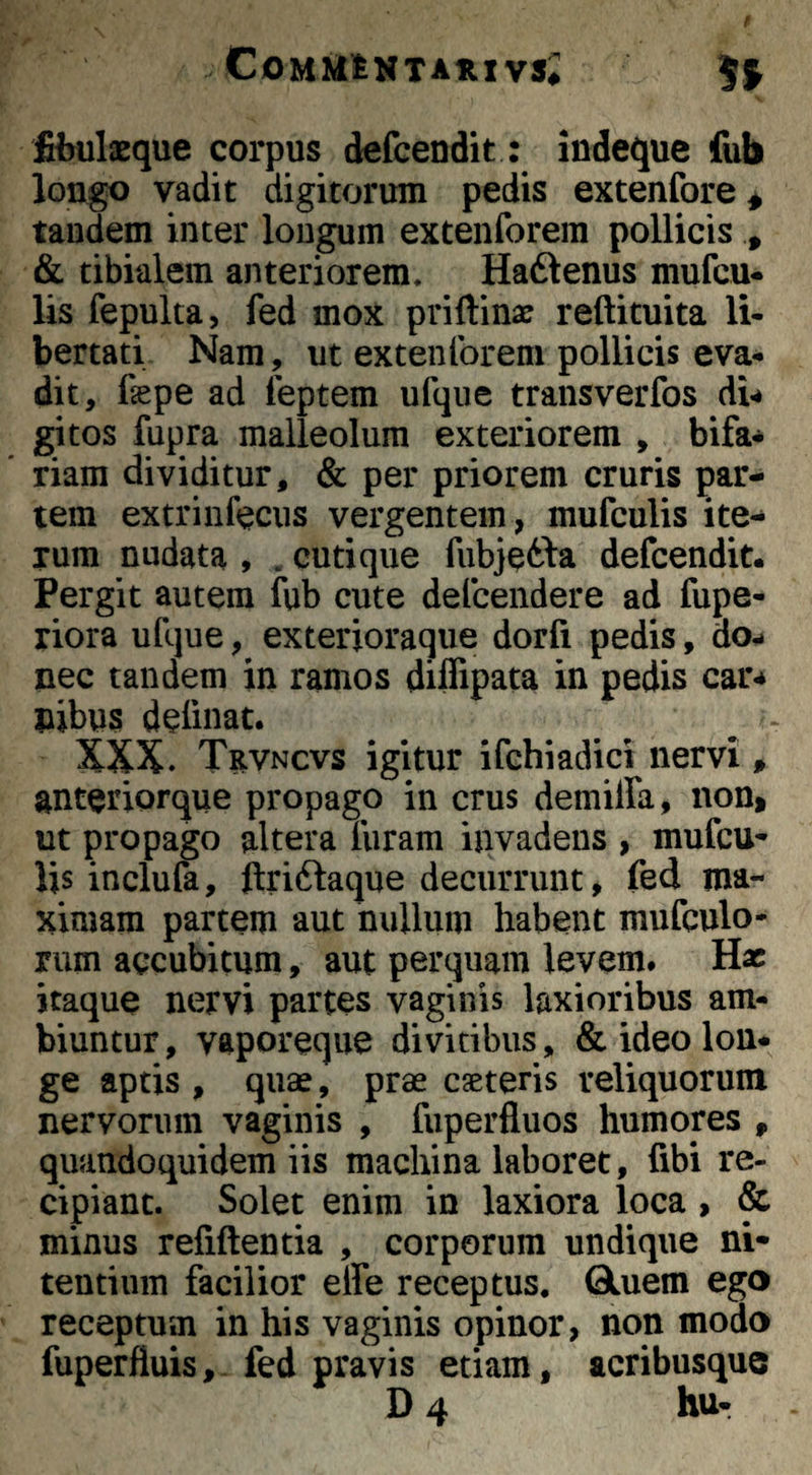 t COMBIINTAUIVS; fj fiirtilaeque corpus defcendit: indeque fub longo vadit digitorum pedis extenfore ^ tandem inter longum extenforem pollicis , & tibialem anteriorem, Haftenus mufcu* lis fepulta, fed mox priftinx reftituita li¬ bertati Nam, ut extenforem pollicis eva- dit, faspe ad leptem ufque transverfos di^ gitos fupra malleolum exteriorem , bifa¬ riam dividitur, & per priorem cruris par¬ tem extrinfocus vergentem, mufculis ite¬ rum nudata , . cutique fubjetta defcendit. Pergit autem fub cute defcendere ad fupe- riora ufque, exterioraque dorfi pedis, do¬ nec tandem in ramos diffipata in pedis car^ nibus definat. XXX. Trvncvs igitur ifchiadici nervi * anteriorque propago in crus demilfa, non, ut propago altera furam invadens , mufcu* lis inclufa, ftriflaque decurrunt, fed ma¬ ximam partem aut nullum habent mufculo- rum accubitum, aut perquam levem* Hac itaque nervi partes vaginis laxioribus am¬ biuntur, vaporeque divitibus, & ideo lon¬ ge aptis , quae, prae cseteris reliquorum nervorum vaginis , fiiperfluos humores , quandoquidem iis machina laboret, fibi re¬ cipiant. Solet enim in laxiora loca , & minus refiftentia , corporum undique ni¬ tentium facilior effe receptus. Qluem ego receptum in his vaginis opinor, non modo fuperfluis, fed pravis edam, acribusque D 4 hur