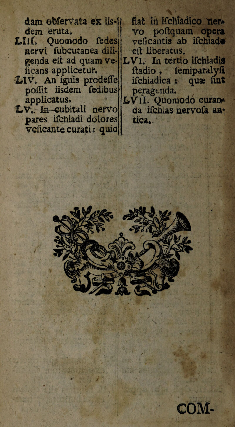 dam obfervata ex iis«| dem eruta. | LIlL Quomodo fedes nervi Tubcutanea dlH> genda ett ad quam ve- licans applicetur. X#1V* An ignis prodeffe polTit iisdem fedibus applicatus» LV.r4a--€ubitali nerVo pares ifchiadi dolores vcficantecurari; quia iSat: in ifchiadico vo poftquam dpera vefi cantis ab ifchiad» eft liberatus. LVl. In tertio ifchiadis ftadio» femiparalyii ifchiadica ; quae fint peragbndai LV fl. QUomodo curatir* da ircbias nervoCa aa« tica«. COM-