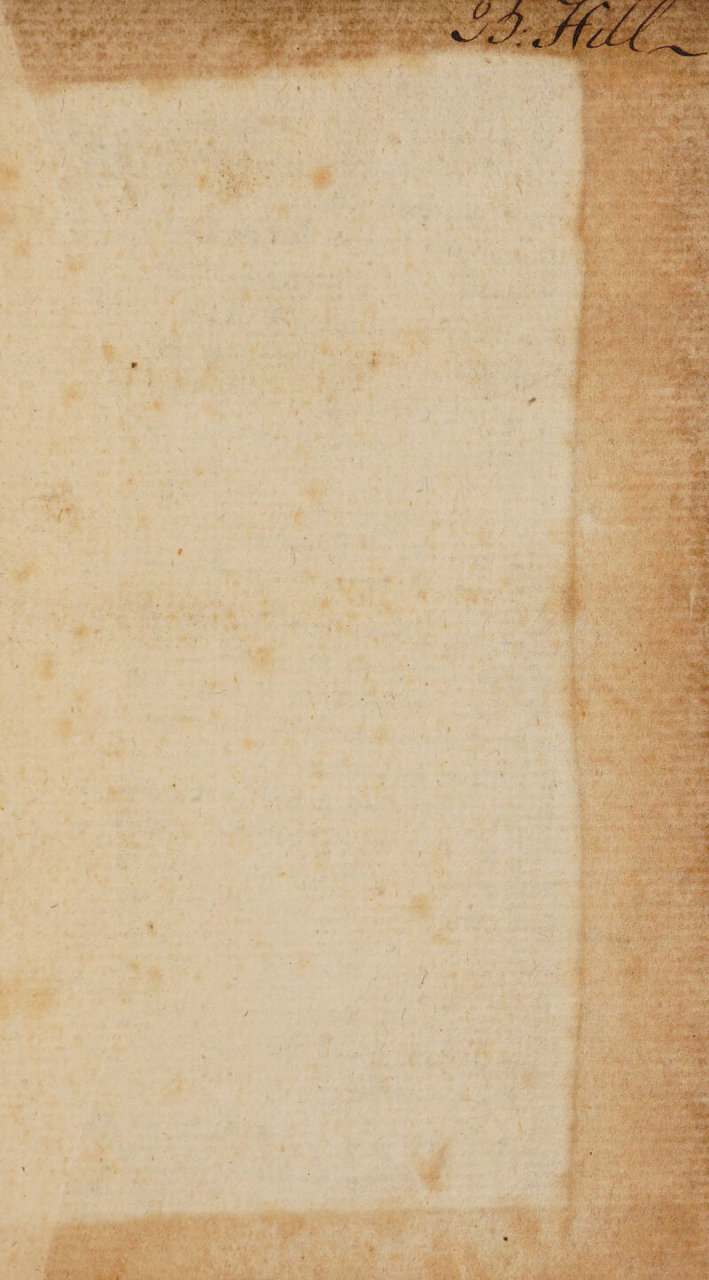 age vot ‘ ‘ . - ‘ 7 ’ os ol we ee »