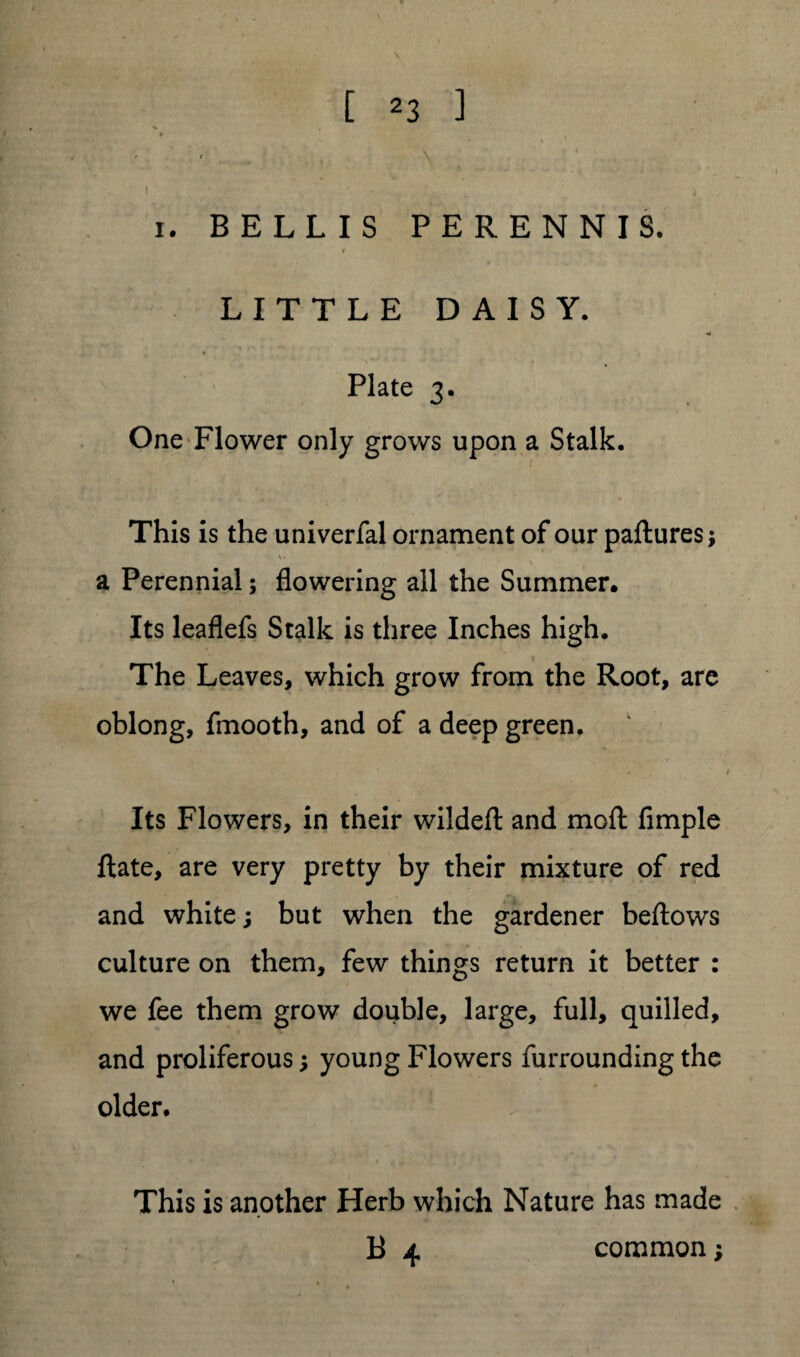 \ [ 23 ] ■* \ ' >■ ' ' \ * 1 ' / . 1. BELL IS PERENNIS. # LITTLE DAISY. Plate 3. One Flower only grows upon a Stalk. This is the univerfal ornament of our paftures; w a Perennial; flowering all the Summer. Its leaflefs Stalk is three Inches high. The Leaves, which grow from the Root, are oblong, fmooth, and of a deep green. . # Its Flowers, in their wildeft and moft Ample ftate, are very pretty by their mixture of red and white; but when the gardener beftows culture on them, few things return it better : we fee them grow double, large, full, quilled, and proliferous; young Flowers furrounding the older. This is another Herb which Nature has made