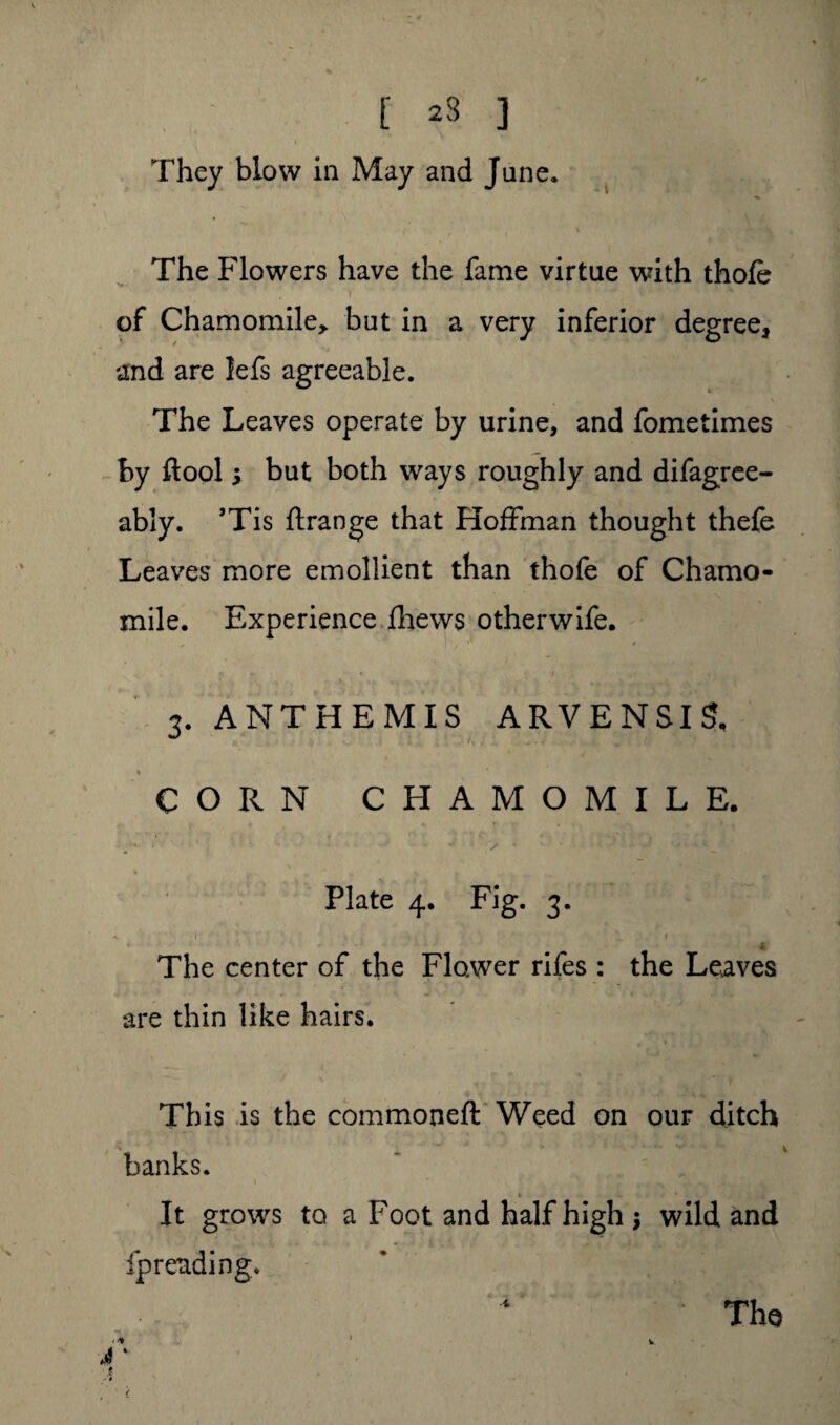 The Flowers have the fame virtue with thofe i of Chamomile, but in a very inferior degree, and are lefs agreeable. The Leaves operate by urine, and fometimes by ftool j but both ways roughly and difagree- ably. ’Tis ftrange that Hoffman thought thefe Leaves more emollient than thofe of Chamo¬ mile. Experience fhews otherwife. 3. ANTHEMIS ARVENSIS, CORN CHAMOMILE. - * - • ' '/ K ' ‘ * ■ - J - S . * «, : Plate 4. Fig. 3. s. 1 ' * . • ; i 1 \ 1 ■ • The center of the Flower rifes : the Leaves are thin like hairs. This is the commoneft Weed on our ditch banks. I ’ • t s • • . (V It grows to a Foot and half high j wild and fpreading. • The