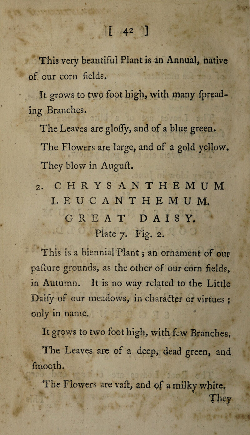 This very beautiful Plant is an Annual, native of. our corn fields. It grows to two foot high, with many fpread- ing Branches. The Leaves are glofly, and of a blue green. The Flowers are large, and of a gold yellow. They blow in Auguft. 2. CHRYSANTHEMUM LEUCANTHEMUM, GREAT DAISY. Plate 7. Fig. 2. This is a biennial Plant $ an ornament of our pairure grounds, as the other of our corn fields, in Autumn. It is no way related to the Little Daify of our meadows, in charadler or virtues ; only in name. It grows to two foot high, with few Branches. The Leaves are of a deep, dead green, and fmooth. The Flowers are vaft, and of a milky white. They