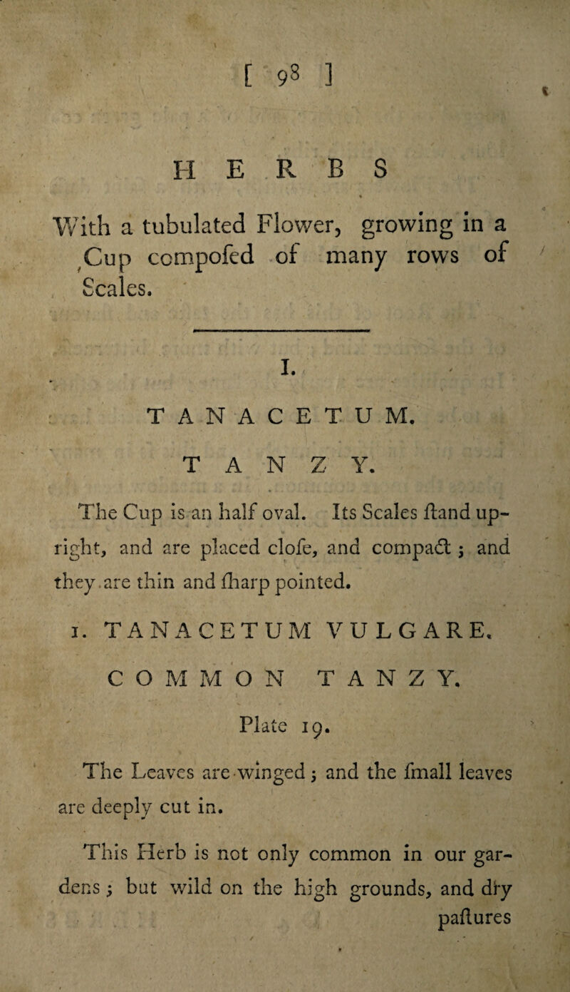 [ 93 ] I H E R B S i % 4 With a tubulated Flower, growing in a Cup ccmpofed of many rows of Scales. I. / TANACETUM. T A N Z Y. The Cup is an half oval. Its Scales ftand up- * * * , right, and are placed clofe, and compact j and they.are thin and fharp pointed, i. TANACETUM VULGARE. COMMON T A N Z Y. Plate 19. The Leaves are winged 5 and the fmall leaves are deeply cut in. This Herb is not only common in our gar¬ dens ; but wild on the high grounds, and dry paftures