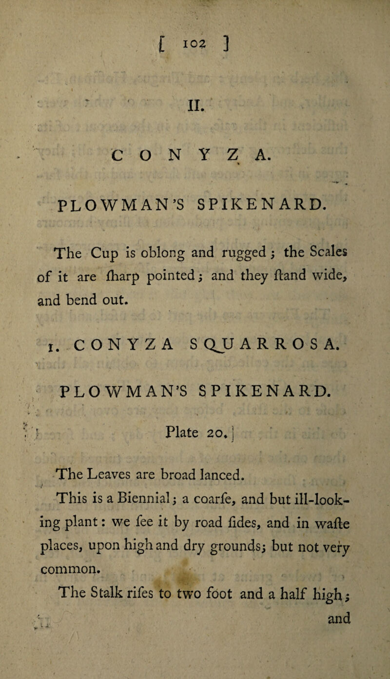 [ 10* ] , I ,» • ‘ ' II. c. •• •' A ' * / ■*• ' V* • C O N Y Z A. % ». . c ^ PLOWMAN’S SPIKENARD. The Cup is oblong and rugged; the Scales of it are fharp pointed; and they fland wide, and bend out. \ . i . £ * ■-* \ v i. CONYZA S QJJ A R R O S A. nl-.-.i - . . ' • PLOWMAN’S SPIKENARD. J ■’ >  . ; . ,, L $ «* » * I Plate 20* j The Leaves are broad lanced. This is a Biennial; a coarfe, and but ill-look- «i. ■ ; x1 > ' ’•* *■ * J* ing plant: we fee it by road fides, and in wafte places, upon high and dry grounds; but not very common. The Stalk rifes to two foot and a half high;