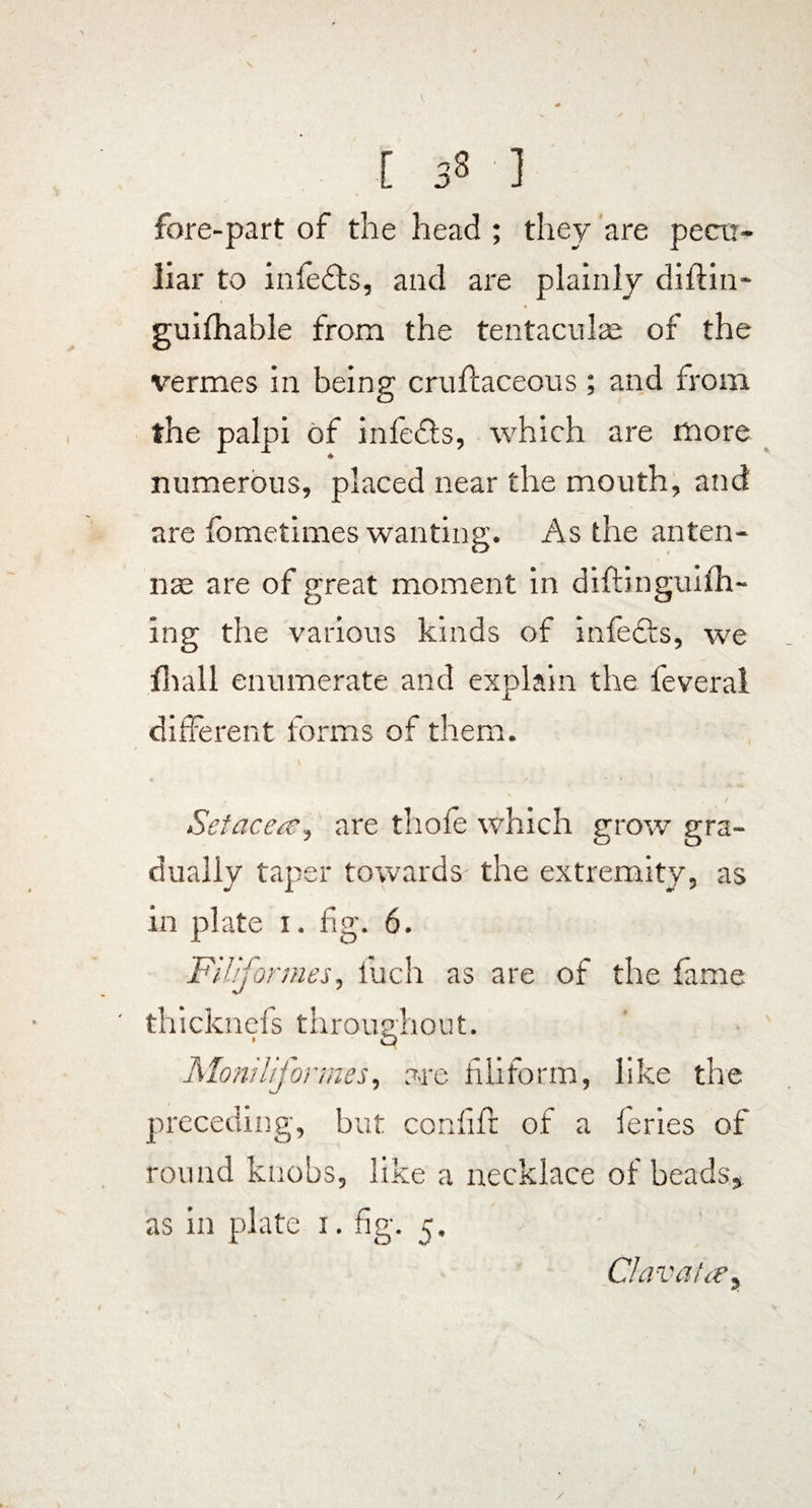 [ 33 ] fore-part of the head ; they are pecu¬ liar to infefts, and are plainly diftin- guifhable from the tentacular of the vermes in being cruftaceous; and from the palpi of infedts, which are more numerous, placed near the mouth, and are lometimes wanting. As the anten¬ nae are of great moment in diftinguifh- ing the various kinds of infects, we lhall enumerate and explain the feveral different forms of them. Setacea.are thole which grow gra¬ dually taper towards the extremity, as in plate i. fig. 6. Filiformes, fuch as are of the fame thicknefs throughout. Moniliformes, are filiform, like the preceding, but confifr of a feries of round knobs, like a necklace of beads,, as in plate i. fig. 5, C/ava/a'y