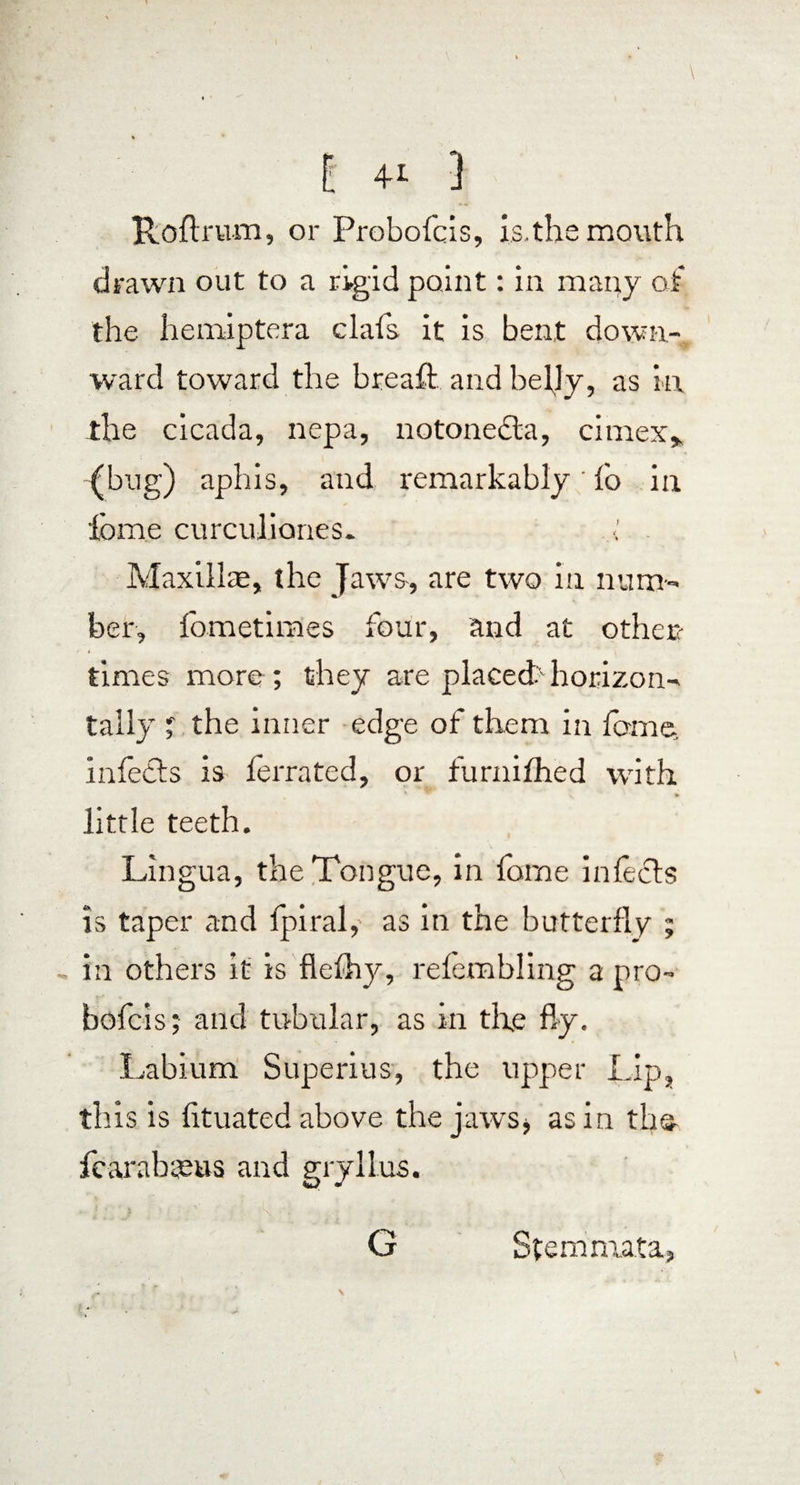 Roil rum, or Probofcis, is.the mouth drawn out to a rigid point: in many of the hemiptera clafs it is bent down¬ ward toward the breaft and belly, as in the cicada, nepa, notonedla, cimex», (bug) aphis, and remarkably' fo in forne curculiones. I Maxillte, the Jaws, are two in num¬ ber, fometimes four, and at other- times more ; they are placed> horizon¬ tally ; the inner edge of them in feme, infetls is ferrated, or furnifhed with little teeth. Lingua, the Tongue, in lame infects is taper and fpiral, as in the butterfly ; , in others it is flefhy, refembling a pro¬ bofcis; and tubular, as in the fly. Labium Superius, the upper Lip, this is fituated above the jaws* as in tbs- fear a Inuus and gryllus. G Stemmata,