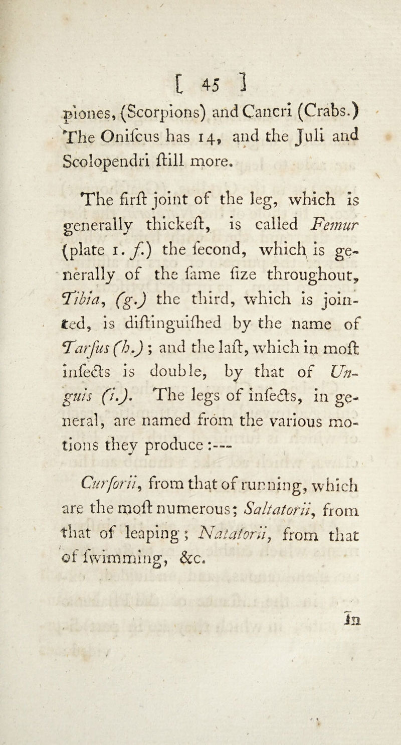 clones, (Scorpions) and Cancri (Crabs.) The On he us has 14, and the Juli and Seolopendri hill more. The firft joint of the leg, which is generally thickeft, is called Femur (plate 1. f) the fecond, which is ge- ‘Tibia, (g.) the third, which is join¬ ted, is diftinguifhed by the name of Tarfus (h.) ; and tire laid, which in moft infects is double, by that of Un¬ guis (i.). The legs of infefls, in ge¬ neral, are named from the various mo¬ tions they produce Cur for ii, from that of running, which are the moft numerous; Saltatorii, from that of leaping; Natatorii, from that of iVimming, &c. in