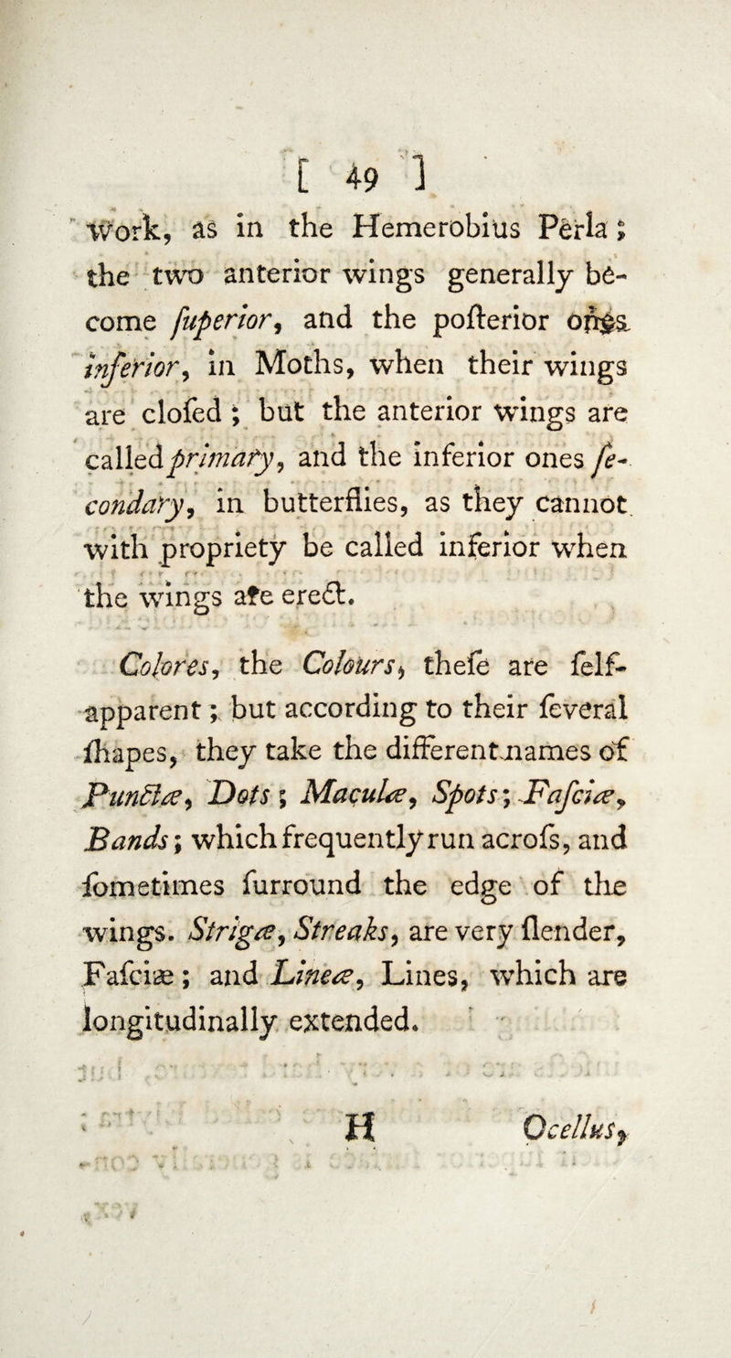 Work, as in the Hemerobilis Perla; the two anterior wings generally be¬ come fupsrior, and the pofterior orr$s inferior, in Moths, when their wings are clofed ; but the anterior wings are called.primary, and the inferior ones fe- condary, in butterflies, as they cannot with propriety be called inferior when t V - I t' -'f < - ■ the wings afe ere£l. Colores, the Colours, thefe are lelf- apparent; but according to their feverai fhapes, they take the differentuiames of Punfia, Dotsr> Macula, Spots; Pafcia, Bands', which frequently run acrofs, and iometimes furround the edge of the wings. Striga, Streaks, are very flender, Fafciae ; and Linea, Lines, which are longitudinally extended. ■  : ■ ■: . Oil * ; ' \ H Ocellus f J