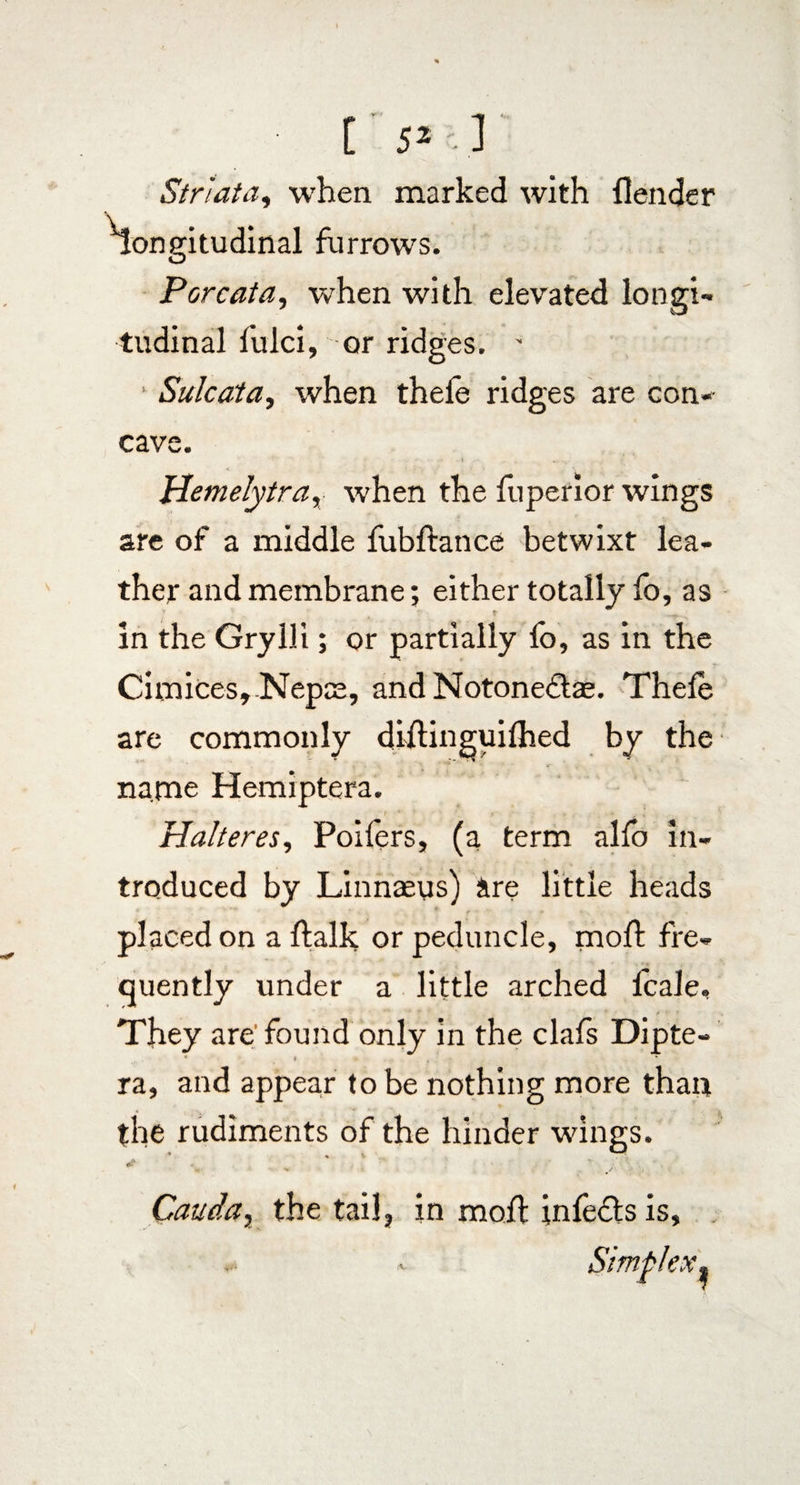 [ 5 2 ' ] Striata, when marked with {lender longitudinal furrows. O Por cata, when with elevated longi¬ tudinal fulci, or ridges. - ' Sulcata, when thele ridges are con-- cave. Hemelytra, when the fuperior wings are of a middle fubftance betwixt lea¬ ther and membrane; either totally fo, as in the Grylli; or partially fo, as in the Cimices,-Nepae, and Notonedtae. Thefe are commonly diftinguifhed by the name Hemiptera. Halteres, Poifers, (a term alfo in¬ troduced by Linnaeus) are little heads placed on aftalk or peduncle, moli fre¬ quently under a little arched fcale. They are found only in the clafs Dipte-  ' t v ‘ ra, and appear to be nothing more than the rudiments of the hinder wings. Cauda, the tail, in moil infedtsis. rV