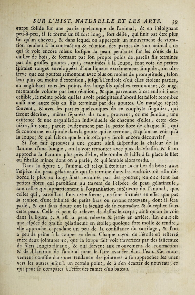 corps folide fur une partie quelconque de ranimai, 5c en l’éloignant peu-à-peu, il fe forme un fil fort long , fort délié, qui finit par être plus fin qu’un cheveu, 5c dans lequel on apperçoit un mouvement de vibra¬ tion tendant à la contraction 5c réunion des parties de tout animal ; ce qui fe voit encore mieux lorfque la peau pendante fur les côtés de la cuiller de bois, 5c formant par fon propre poids de-pareils fils terminés par de grofiTes gouttes, qui, examinées à la loupe, font voir de petites fpirales rouges enveloppées d’une liqueur extrêmement limpide , on ob- ferve que ces gouttes remontent avec plus ou moins de promptitude , félon leur plus ou moins d’extenfion, jufqu’à l’endroit d’où elles étoienr parties, en englobant tous les points des longs fils qu’elles terminoient, 5c aug¬ mentant de volume par leur réunion, 5c que parvenues à cet endroit inac- cefiible, le même poids qui les avoit précipitées d’abord les faifoit retomber auffi une autre fois en fils terminés par des gouttes. Ce manège répété fouvent, 5c avec les parties quelconques de ce zoophyte fingulier, qui feront décrites, même féparées du tout, prouvent, ce me femble , une exiftence 5c une organifation individuelle de chacune d’elles ; cette der¬ nière, fur tout, paroît évidemment par la petite fibre de chaque fil, qui fe contourne en fpirale dans la goutte qui le termine, 5c qu’on ne voit qu’à la loupe ; 5c qui fait ce que le microfcope y feroit encore découvrir ? Si l’on fait éprouver à une goutte ainfi fufpendue la chaleur de la flamme d’une bougie , on la voit remonter avec plus de vîteffe ; 5c fi on approche la flamme plus près d’elle, elle tombe 5c laide à fa place le filet ou fibrille mince dont on a parlé, 5c qui femble alors tordu. Dans la figure 2, l’animal eft tei qu’il étoit fur la cuiller de bois ; aaa, l’efpèce de peau gélatineufe qui fe termine dans les endroits où elle dé¬ borde le plus en longs filets terminés par des gouttes \ en ccc font les petites fibres qui paroiffent au travers de l’efpèce de peau gélatineufe, tant celles qui appartiennent à l’oiganifation intérieure de l’animal, que celles qui, paroiflant fous cette forme, ne font formées en effet que par la tenfion d’une infinité de petits bras ou rayons mouvans, dont ii fera parlé, Sc qui fans doute ont la faculté de le contracter 5c fe replier fous certe peau. Celle-ci peut fe relever de deffus le corps, ainfi qu’on le voit dans la figure 3. A eft la peau relevée 5c jettée en arrière. En a a a eft. une efpèce de grailfe gélatineufe en étoile; quoique fort molle 5c tendre,, elle approche cependant un peu de la confiftance du cartilage , 5c l’on a peu de peine à la couper en deux. Chaque rayon de l’étoile eft refferré entre deux jointures ce, que la loupe fait voir traverfées par des faifeeaux de filets longitudinaux, 5c qui fervent aux motivemens de contraction 5c de dilatation de ranimai pout le faire avancer dans l’eau. Ce mou¬ vement confifte dans une tendance des jointures à fe rapprocher les unes vers les autres jtifqu’à un certain point, 5c à s’en écarter de nouveau j ce qui peut fe comparer à l’effet des rames d’un bateau.