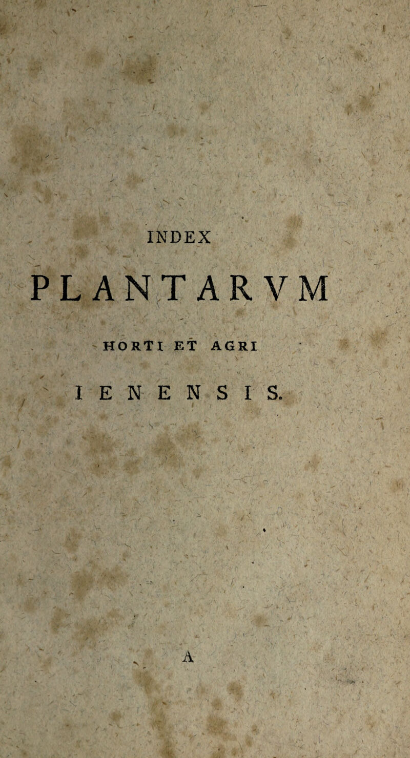 v* V . . I 'W v-u 's 'V PLANTARVM HORTI ET AGRI I E N E N S I S. A