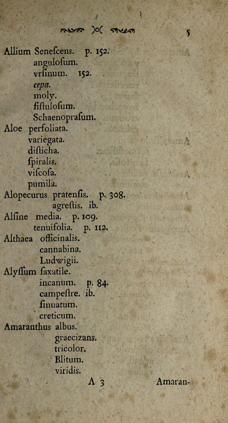 \ rbS&V?' )o( «T»y>££<?*5 Allium Senefcens. p. 152. angulofum. vrfinum. 152. ceva. mol y. fiftulofum. Schaenoprafum. Aloe perfoliata. variegata, difficha. fpiralis. vifcofa. pumila. Alopecurus pratenfis. p. 308. agreffis. ib. Alfine media, p. 109. tenuifolia. p. 112. Althaea officinalis. cannabina. Ludwigii. Alyffiim faxatile. incanum. p. 84- campeffie. ib. iinuatum. creticum. Amaranthus albus. graecizans. tricolor. Blitum. viridis. A 3 1 Amaran-