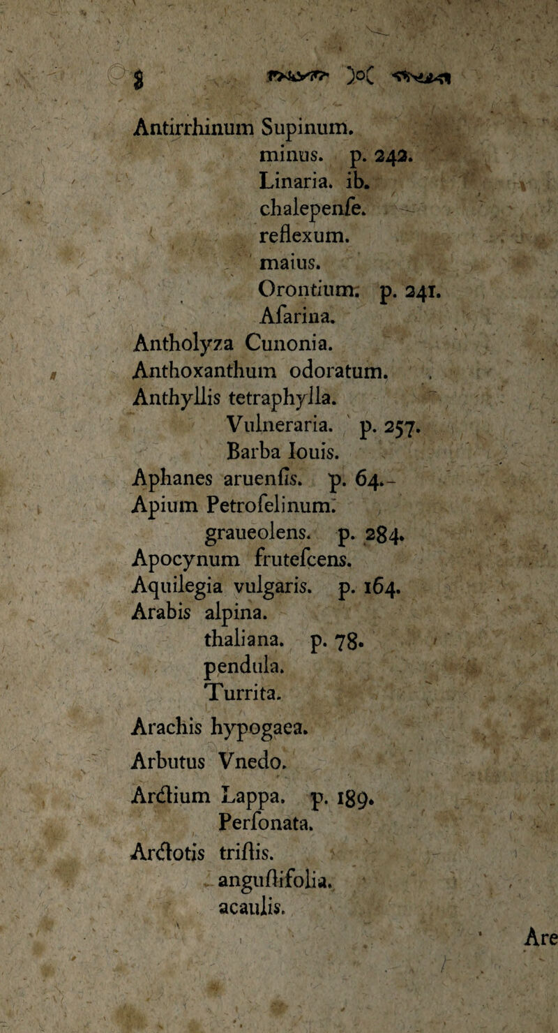 Antirrhinum Supinum. minus, p. 242. Linaria. ib. chalepenfe. reflexum, maius. Orontium. p. 241. Afarina. Antholyza Cunonia. Anthoxanthum odoratum. Anthyllis tetraphylla. Vulneraria, p. 257. Barba Iouis. Aphanes aruenfis. p. 64.- Apiiun Petro felinum. graueolens. p. 284. Apocynum frutefcens. Aquilegi a vulgaris, p. 164. Arabis alpina. thaliana. p. 78. Turrita. Arachis hypogaea. Arbutus Vnedo. Ardium Lappa, p. 189* Perfonata. Ardotis triflis. anguflifolia. acaulis.
