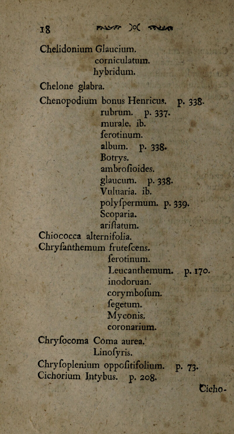 Chelidonium GJaucium. corniculatum. hybridum. , Chelone glabra. Chenopodium bonus Henricus. p. 338. rubrum, p. 337. murale, ib. ferotinum. album, p. 338. Botrys. s ambrofioides. glaucum, p. 338. Vuluaria. ib. polyfpermum. p. 339. Scoparia. ari/latum. Chiococca alternifolia. Chryfanthemum frutefcens. ferotinum. Leucanthemum. p. 170. inodoruan. corymbofum. fegetum. , Myconis. coronarium. Chryfocoma Coma aureaJ Linofyris. Chryfoplenium oppofitifolium. p. 73. Cichorium Intybus, p. 208. Cicho