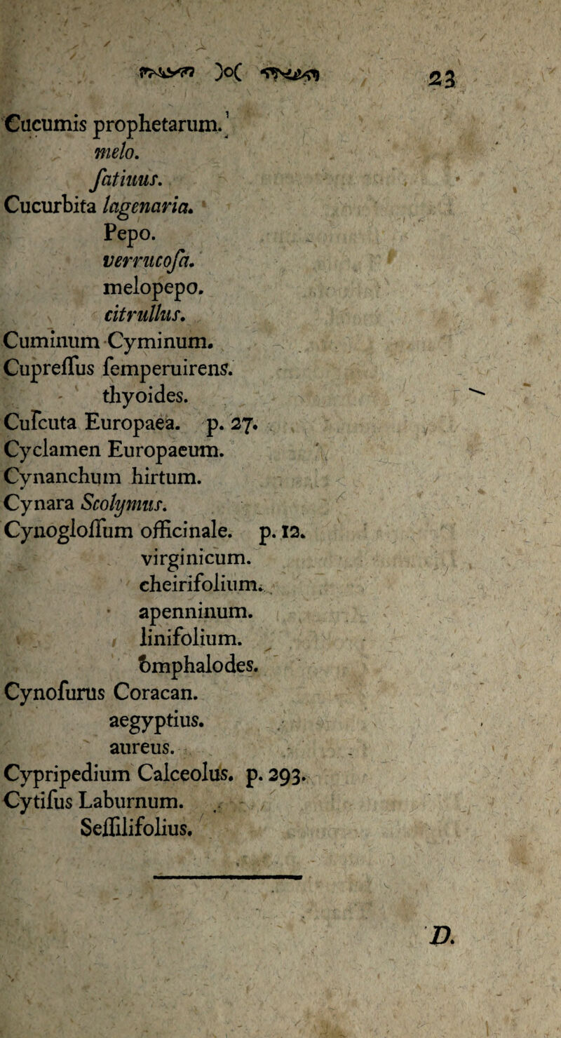 Cucumis prophetarum. ’ melo. Cucurbita lagenaria. Pepo. verrucofa. meiopepo. citrullus. Cuminum Cyminum. CuprefTus femperuirens. thyoides. Culcuta Europaea, p. 27. Cyclamen Europaeum. Cvnanchum hirtum. * Cynara Scolymus. Cynogloffum officinale. p. 12. vi rgi nicum. cheirifolium. apenninum. linifolium. fcmphalodes. Cynofurus Coracan. aegyptius. aureus. Cypripedium Calceolus, p. 293. Cytifus Laburnum. Seflilifolius. D.