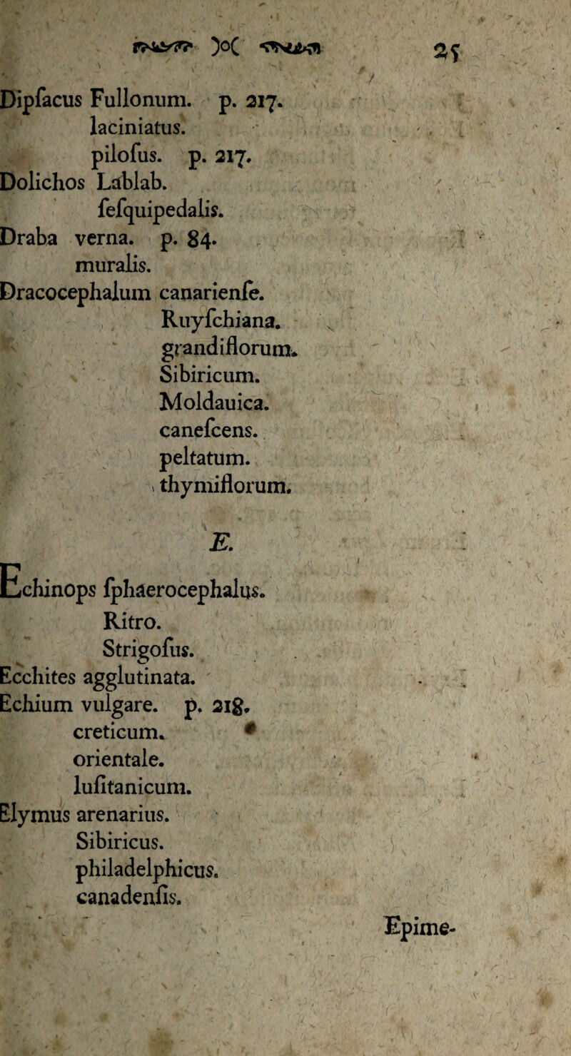 rhs&ff' >C 21 Dipfacus Fullonum, p. 217. laciniatus. pilofus. p. 217. Doliclios Lablab. fefquipedalis. Draba verna, p. 84. muralis. Dracocephaium canarienfe. Ruyfchiana. granei iflorum. Sibiricum. Moldauica. canefcens. peltatum. > thymiflorum. Echinops Iphaerocephalus. Ritro. Strigofus. Ecchites agglutinata. Echium vulgare, p. 2ig. creticum. 1 orientale, lufltanicum. Elymus arenarius. Sibiricus. philadelphicus. canadenfis. Epime-