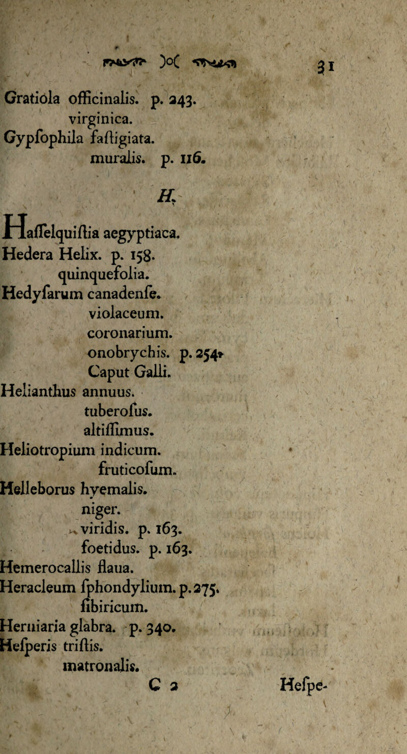 Gratiola officinalis. p. 343. virginica. Gypfophiia fafligiata. muralis, p. 116. Haflelquiflia aegyptiaca. Hedera Helix, p. 158. quinquefolia. Hedyfarum canadenfe. violaceum, coronarium, onobrychis. p. 254» Caput Galli. Helianthus annuus. tuberofus. altiflimus. Heliotropium indicum. fruticofum. Helleborus hyemalis. niger. . viridis, p. 163. foetidus, p. 163. Hemerocallis llaua. Heracleum fphondylium. p.275. fibiricuin. Herniarja glabra, p. 340. Helperis triflis. matronalis. C 2